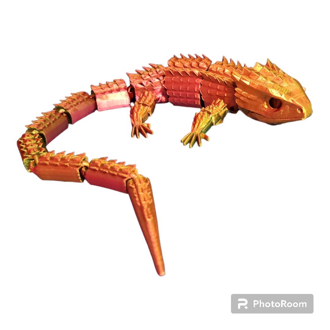 Crocodile Skink
