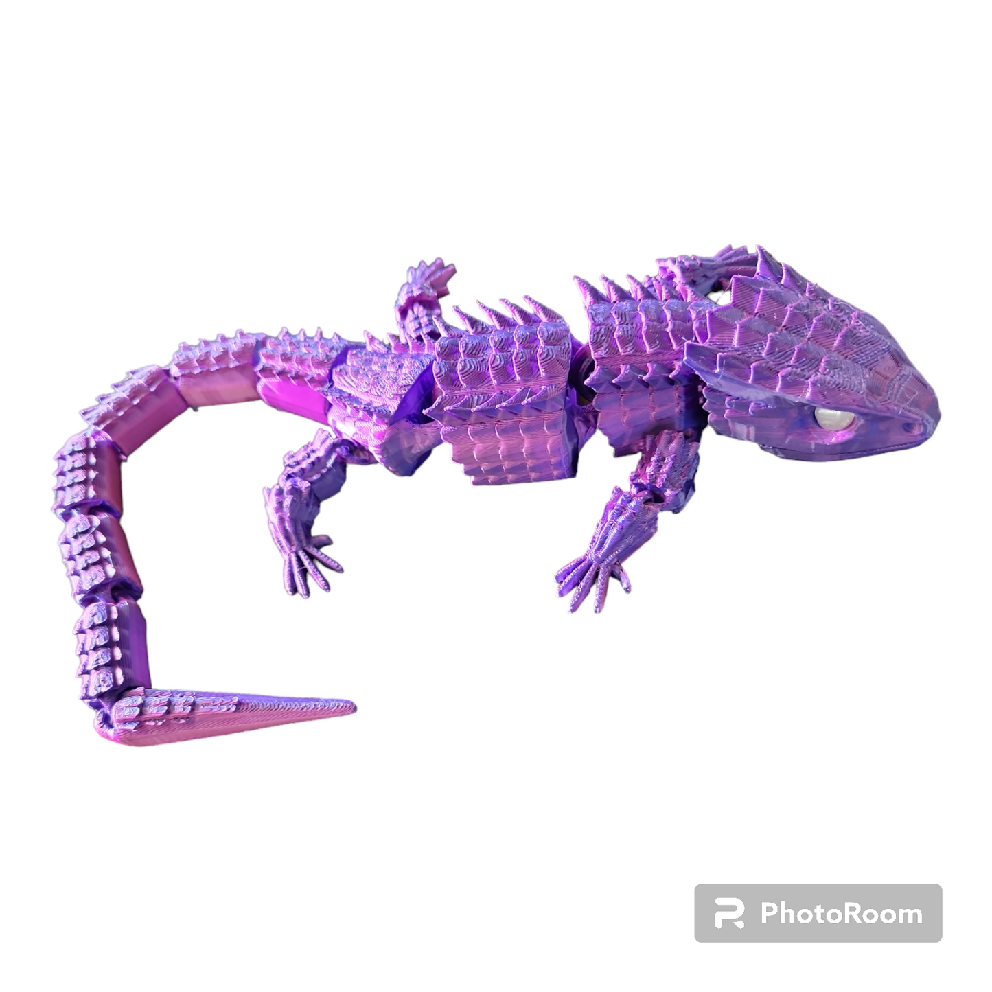 Crocodile Skink