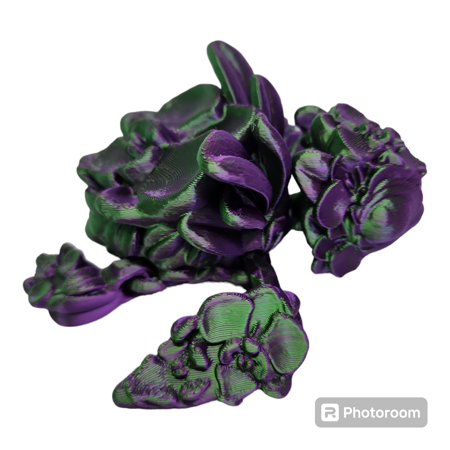 Orchid Turtle