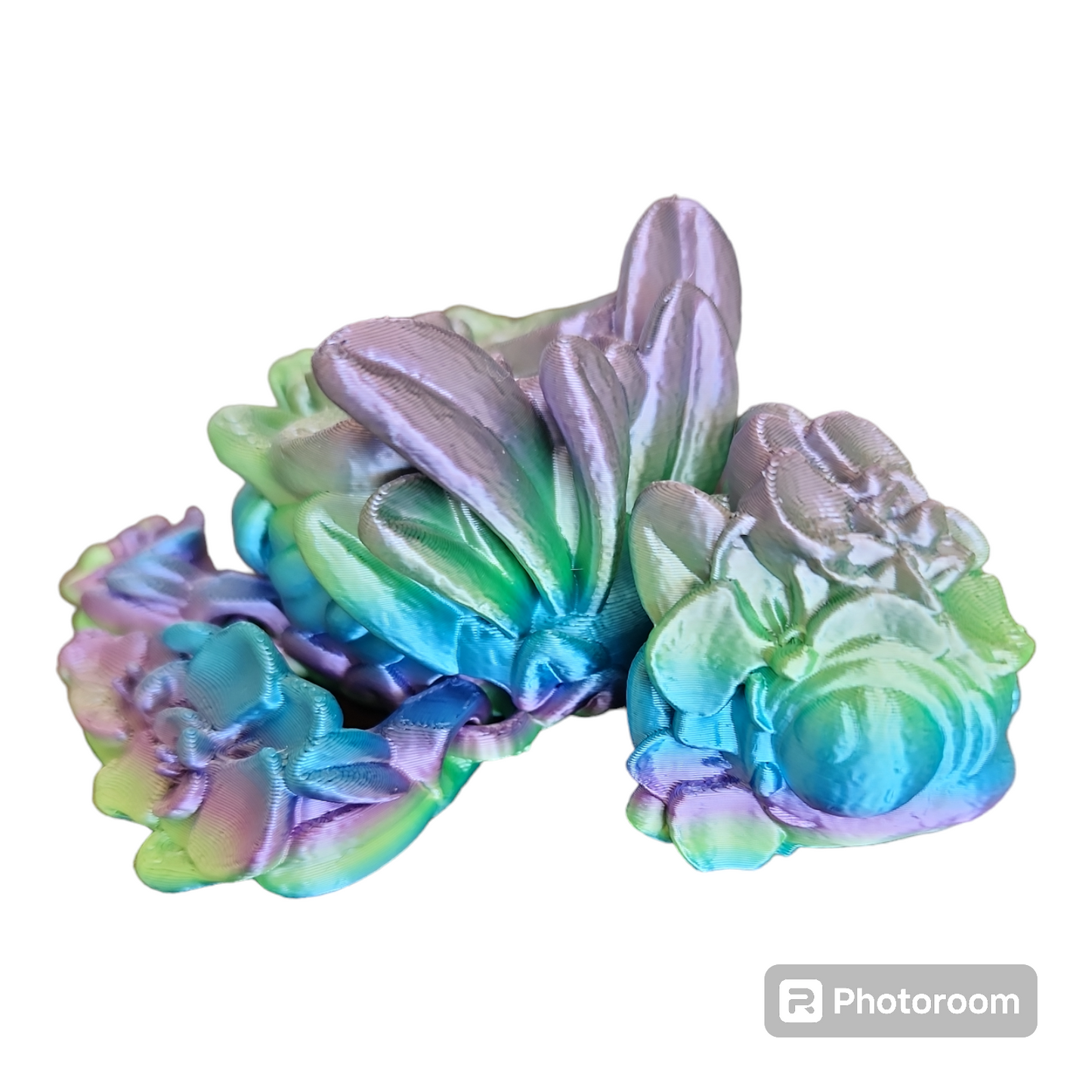 Orchid Turtle
