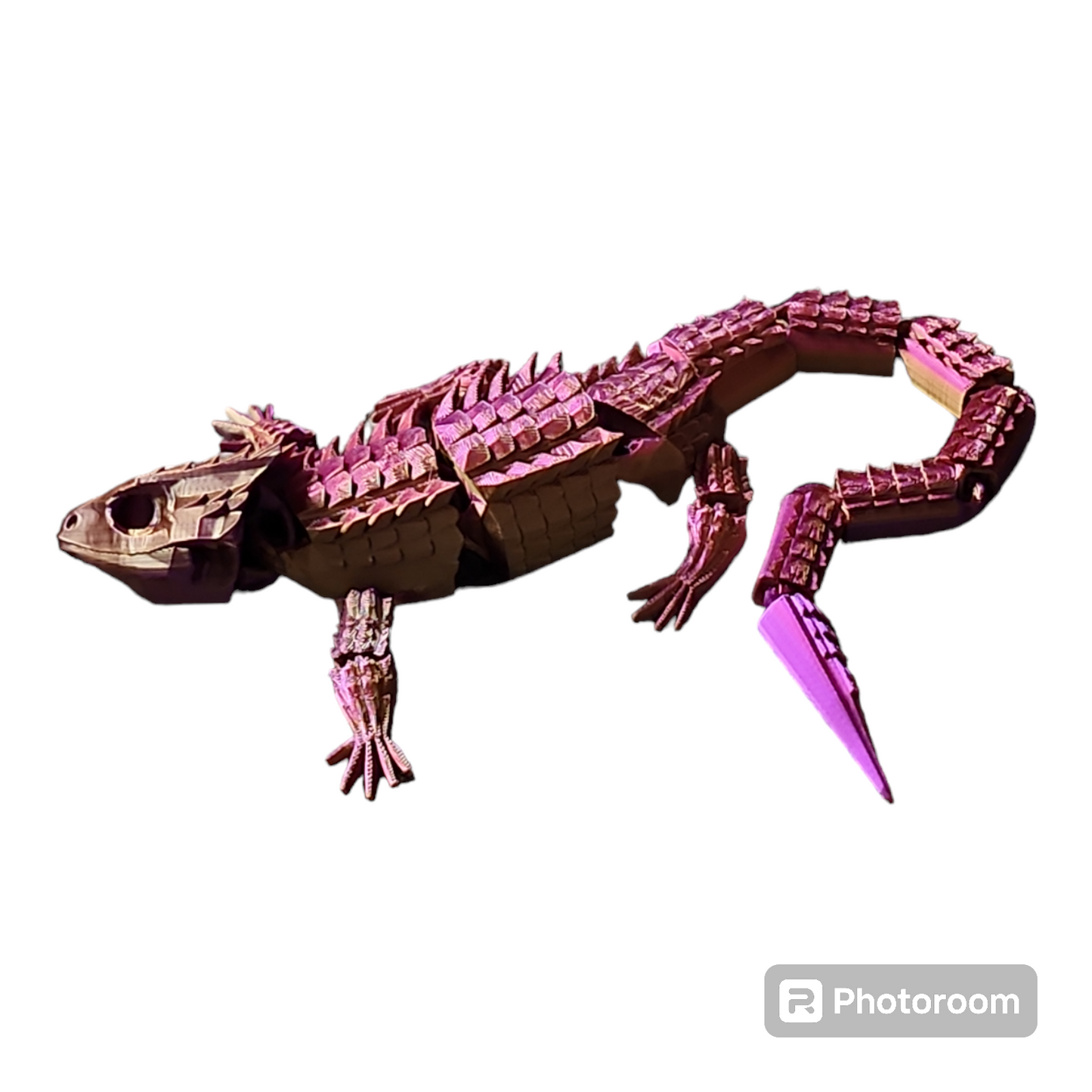 Crocodile Skink