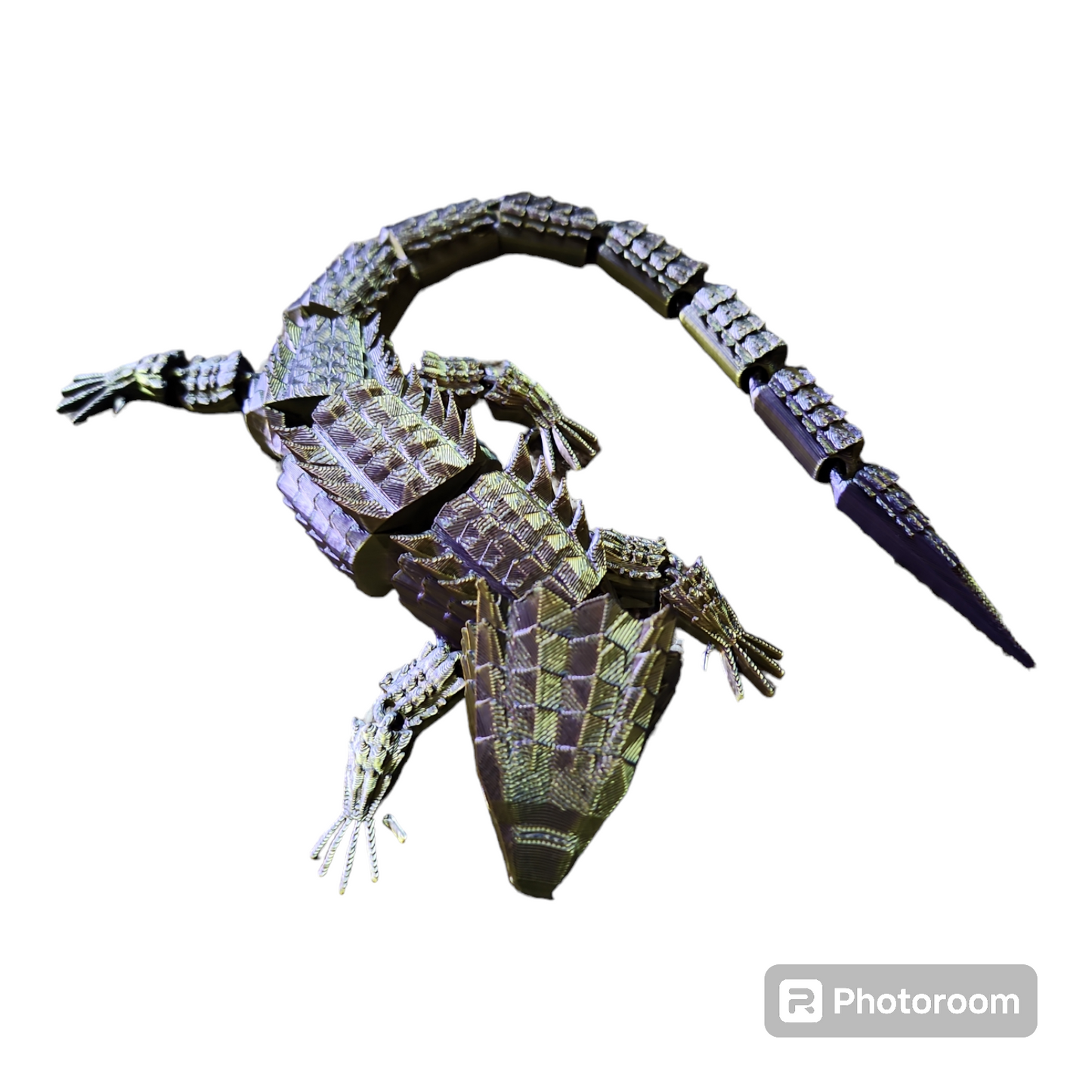 Crocodile Skink