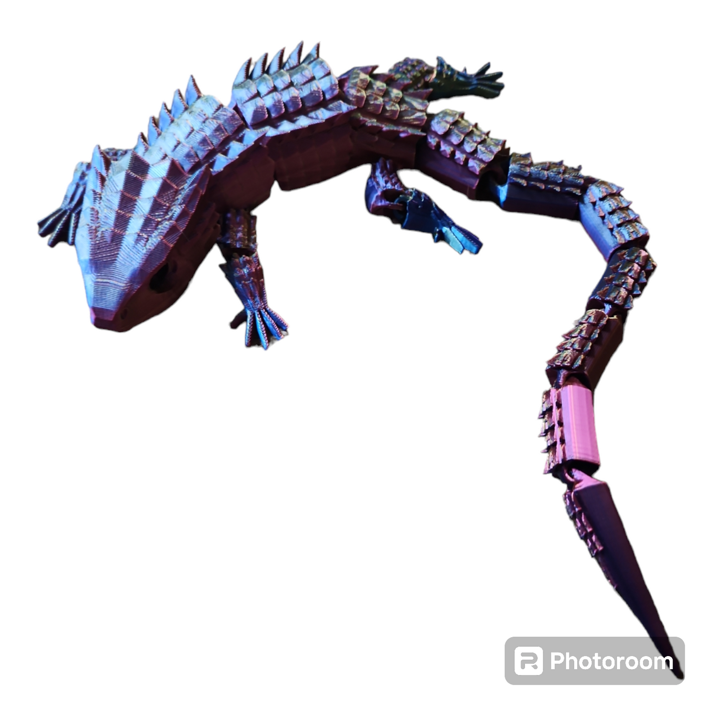 Crocodile Skink