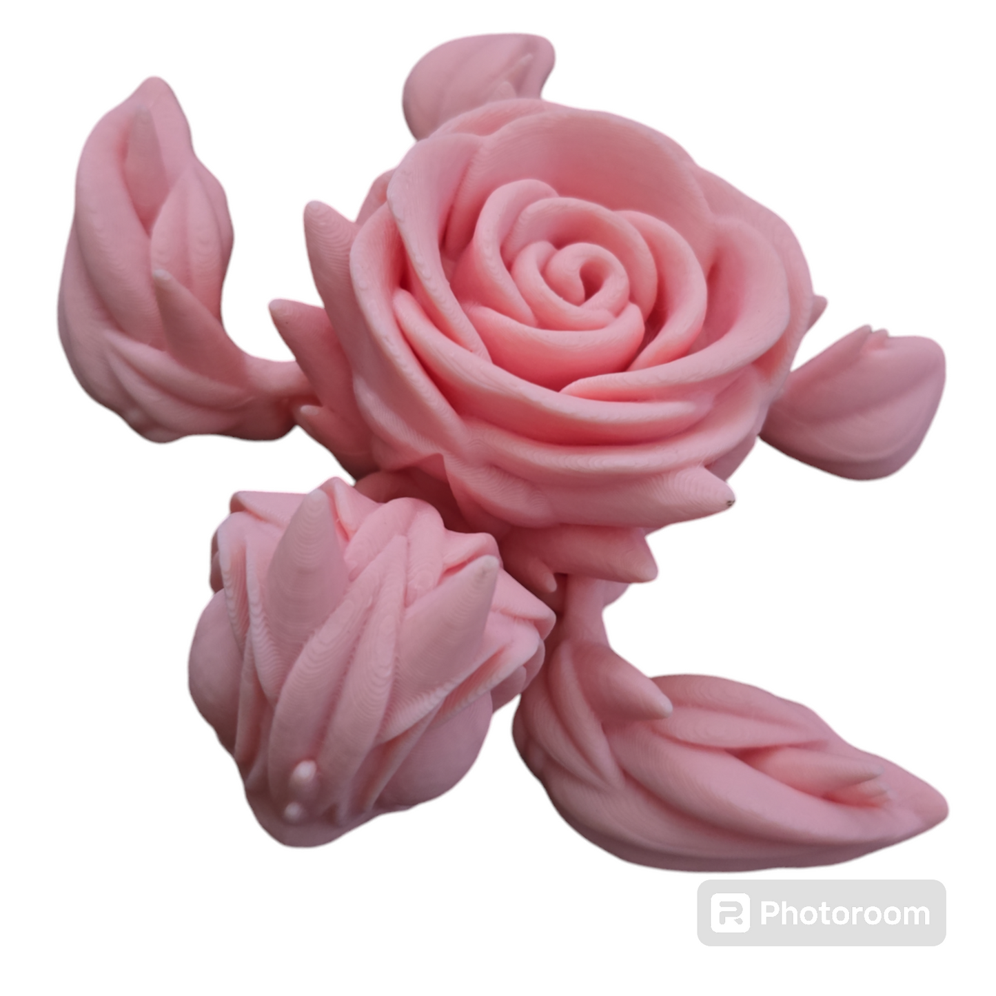 Rose Turtle