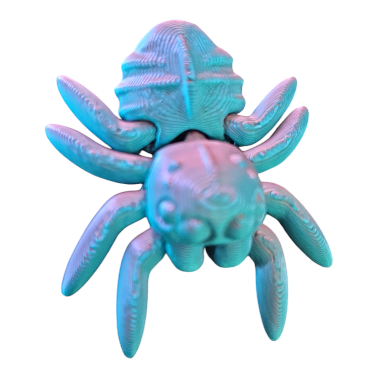 Spider Fidget Toy