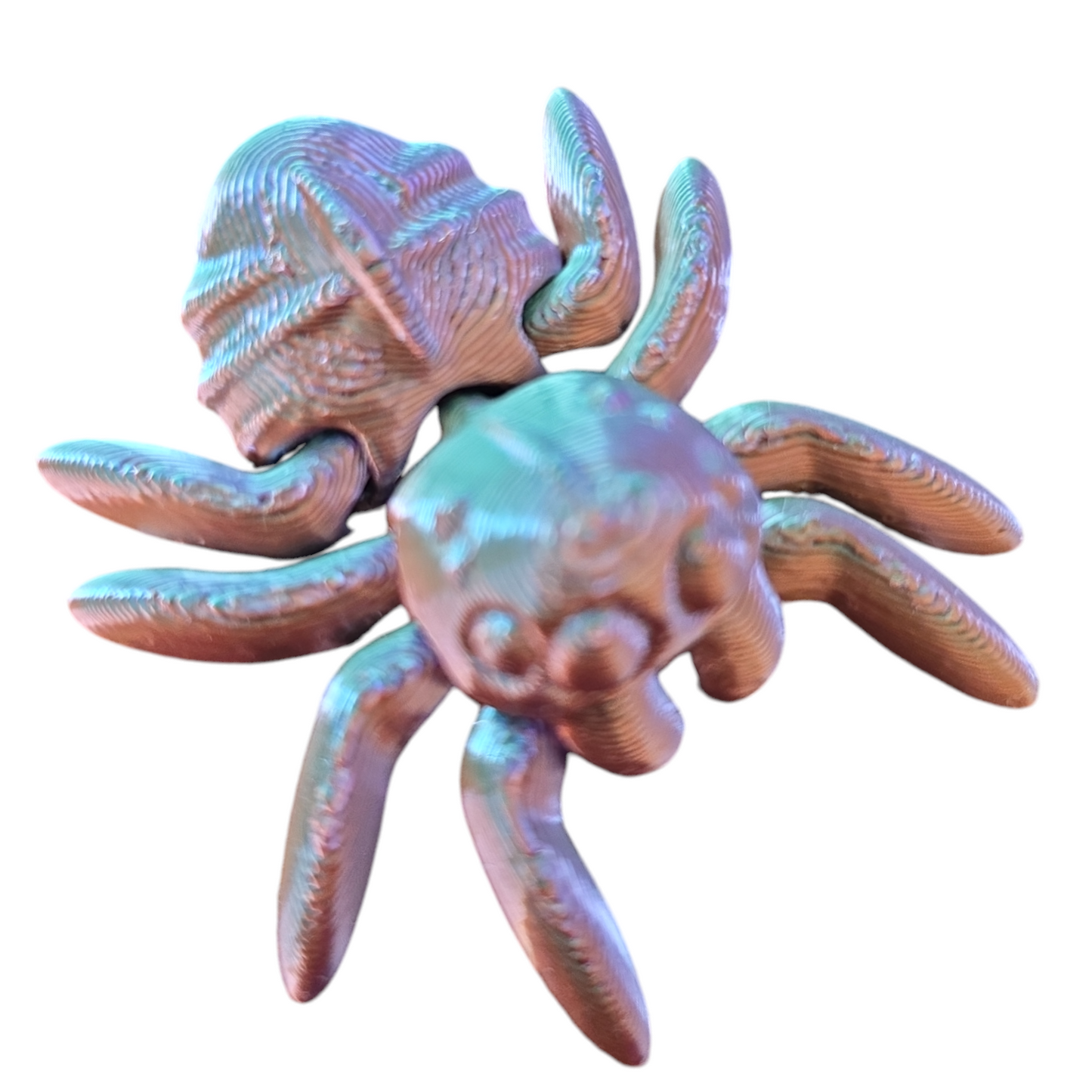 Spider Fidget Toy