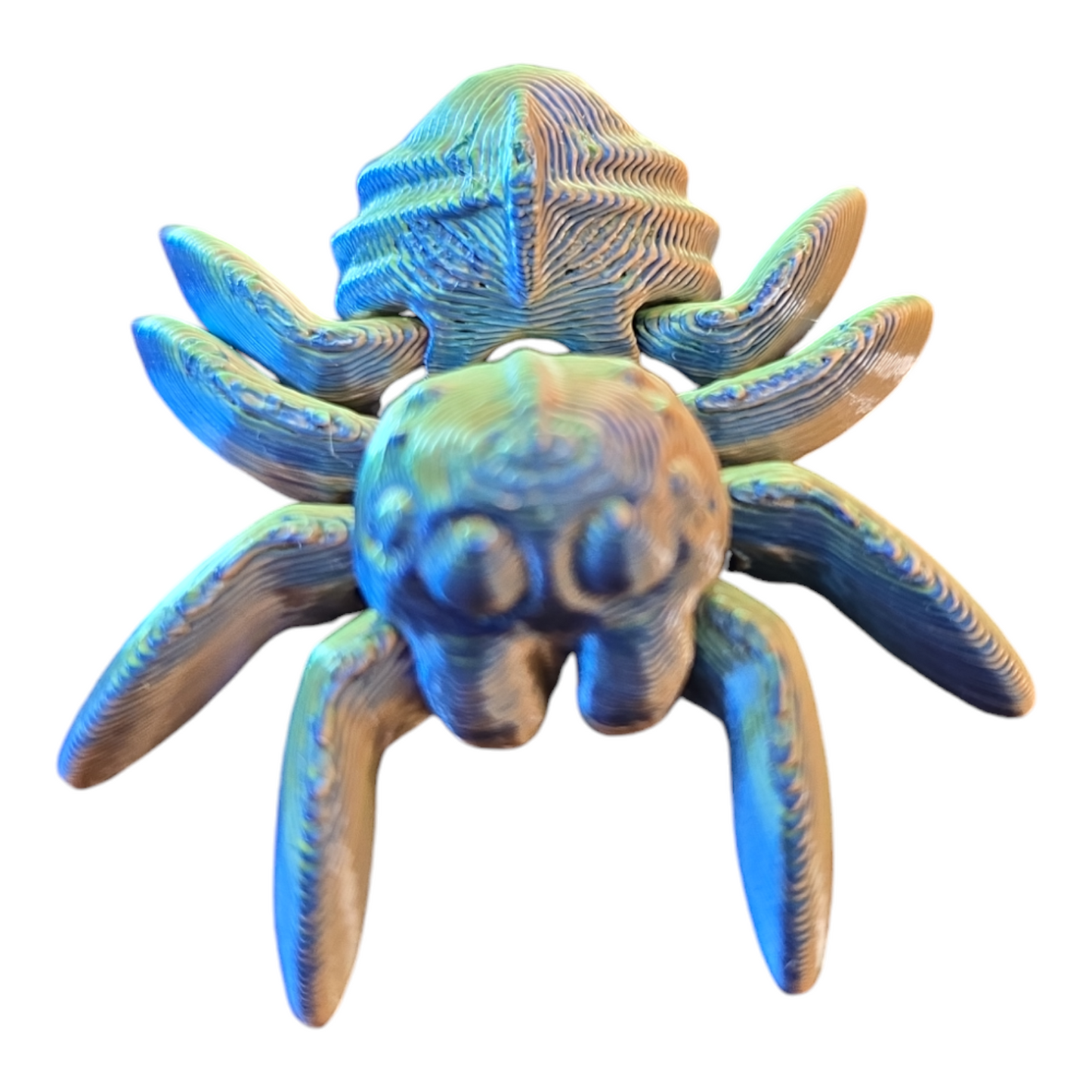 Spider Fidget Toy