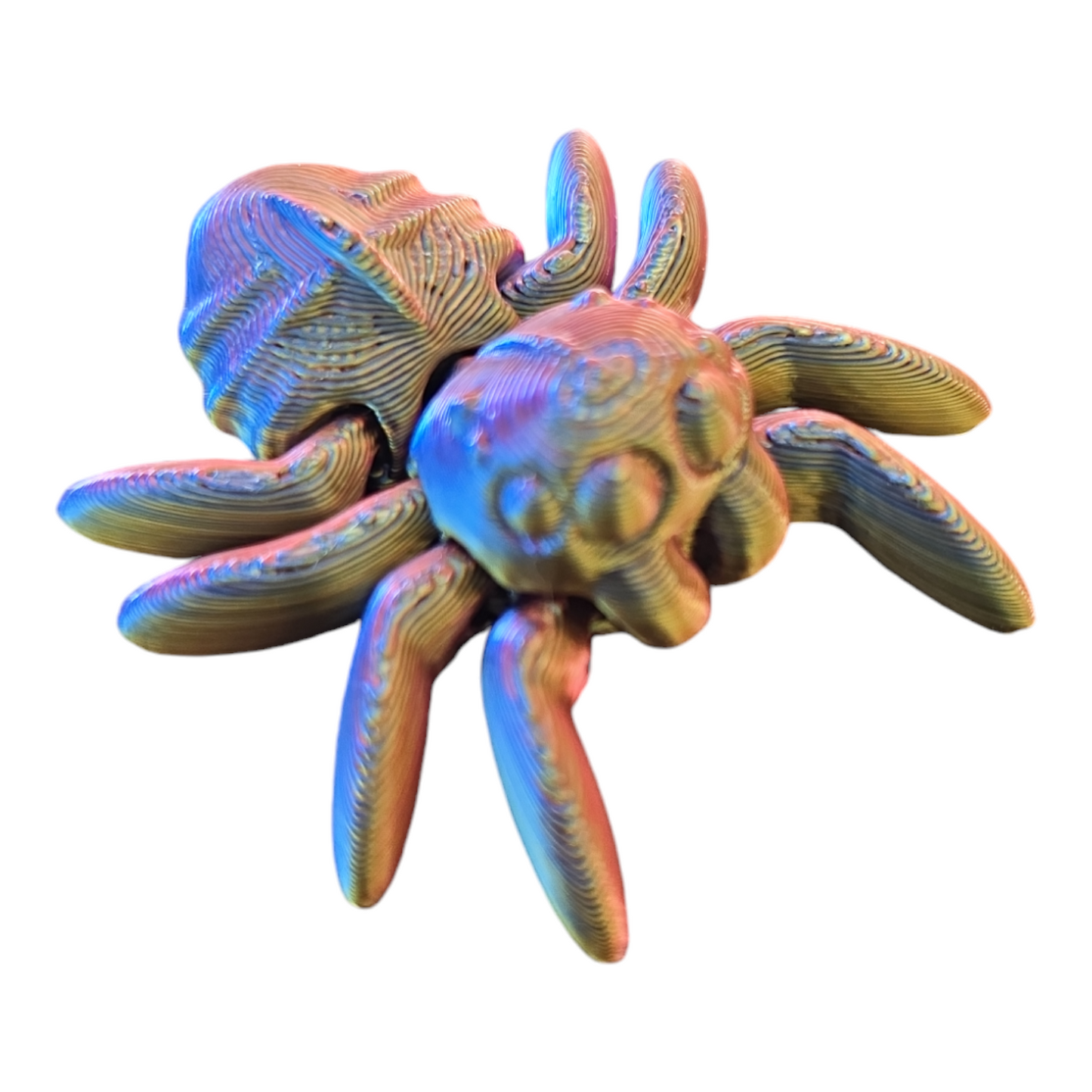 Spider Fidget Toy