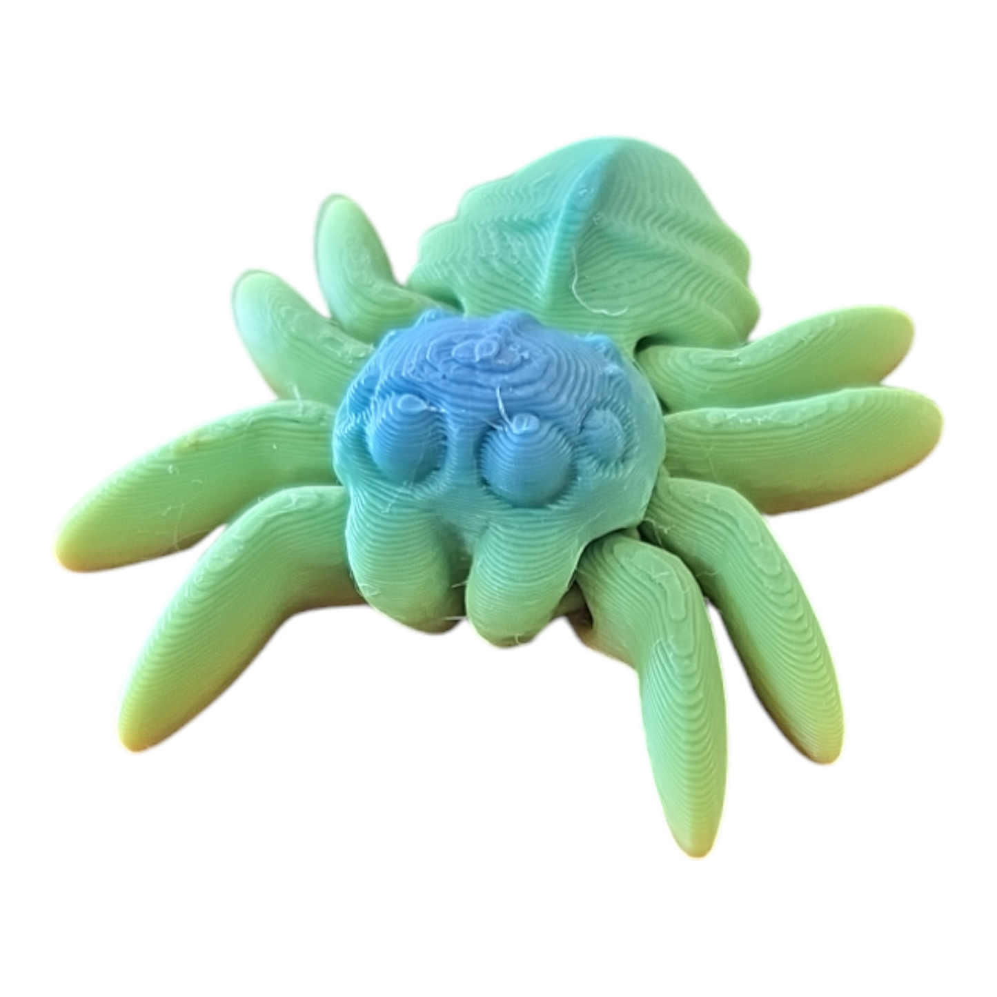 Spider Fidget Toy