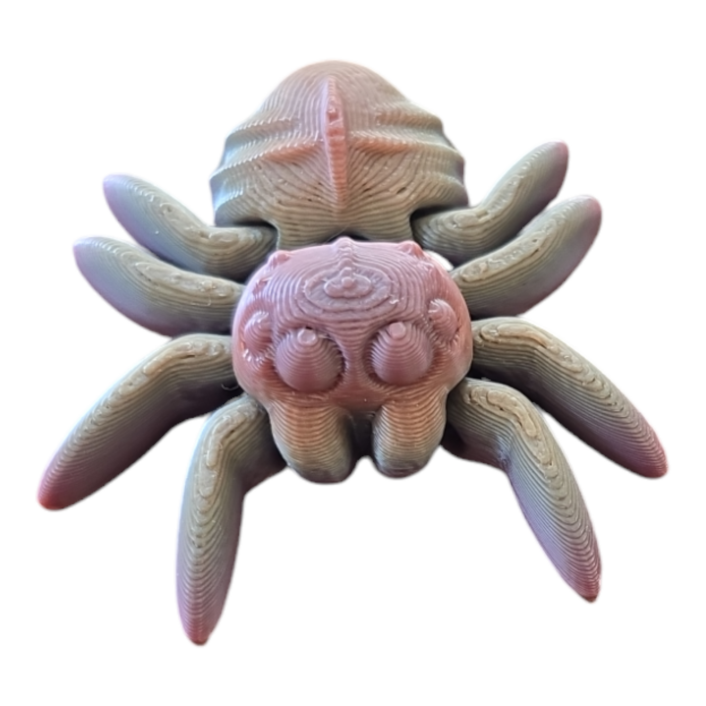 Spider Fidget Toy