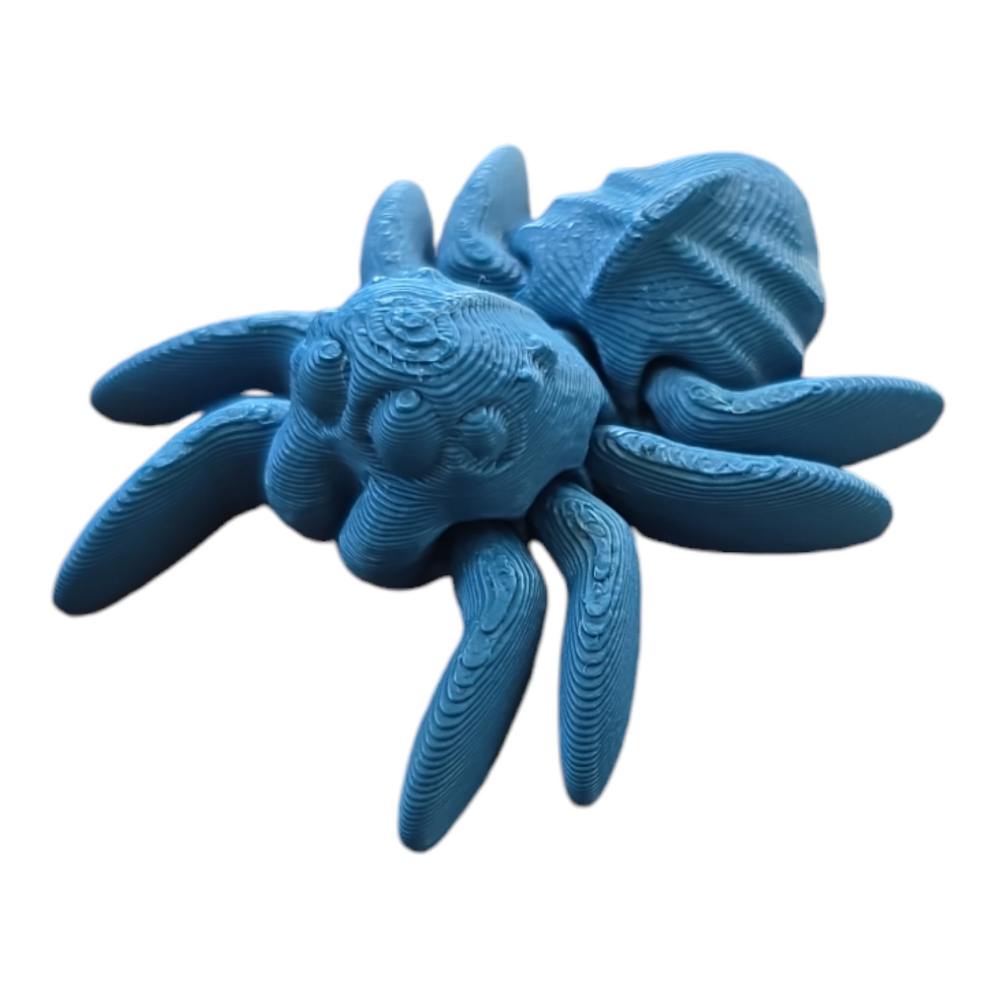 Spider Fidget Toy
