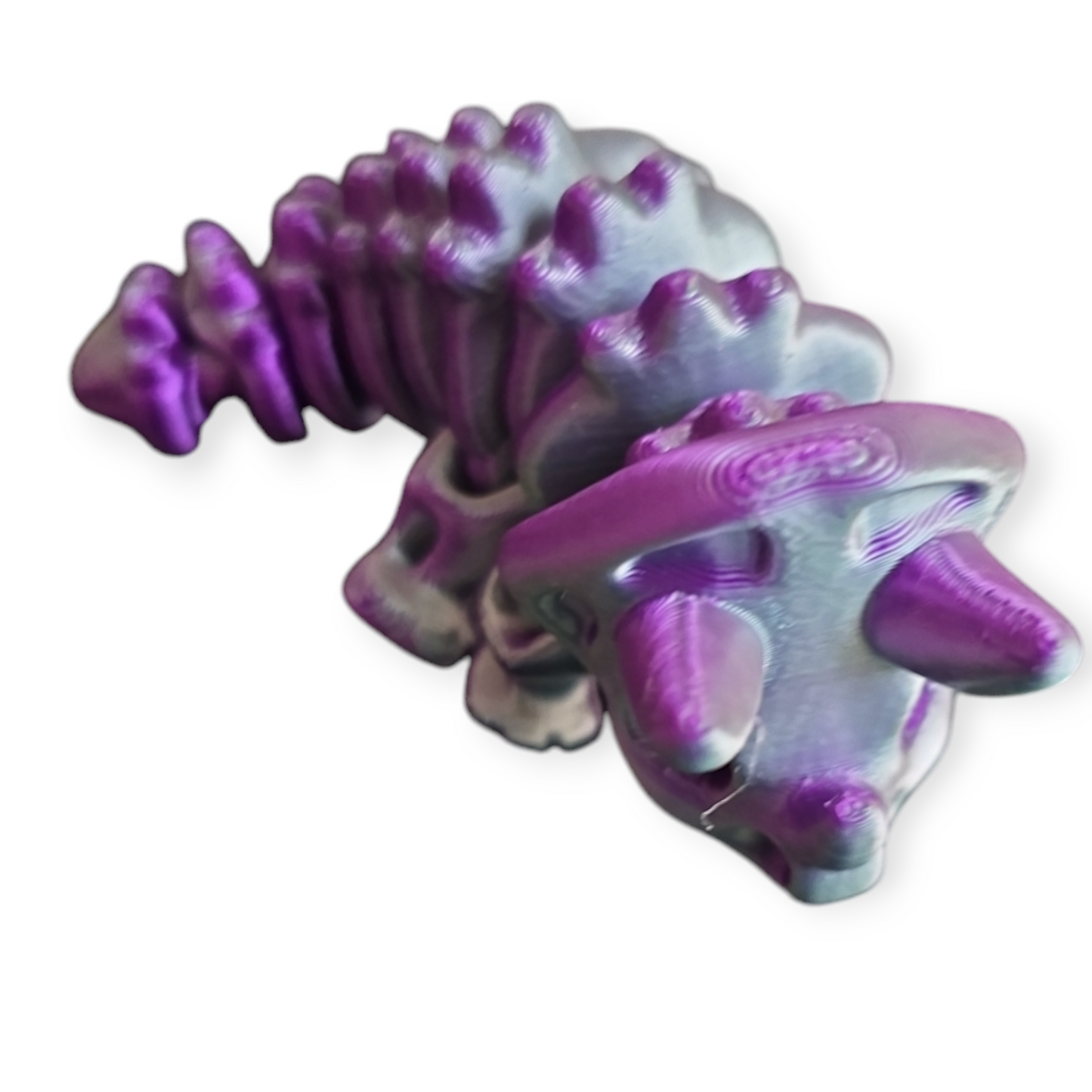 Triceratops Skeleton Dinosaur