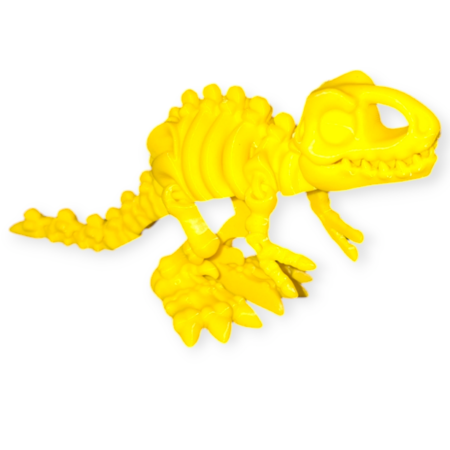 T-Rex Skeleton