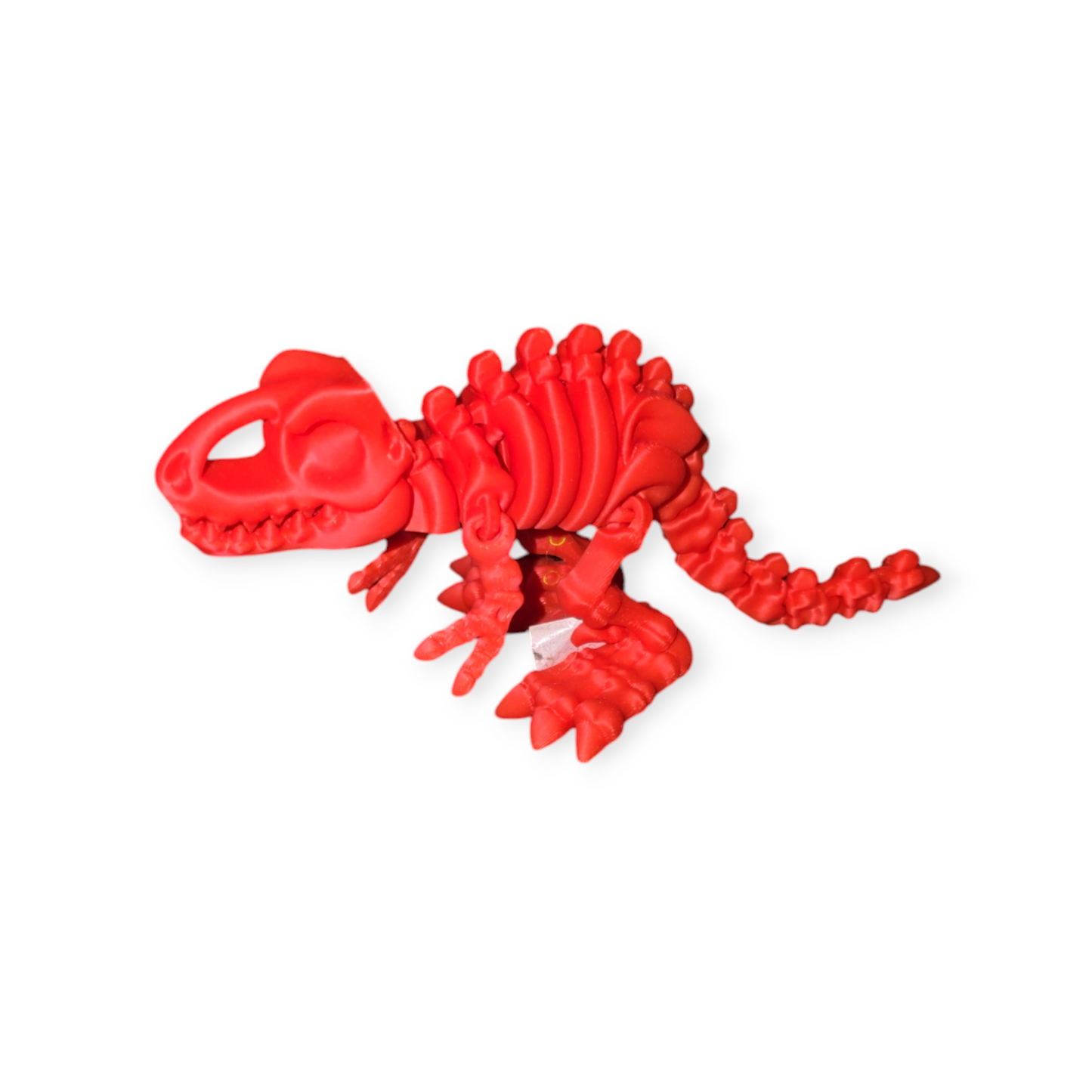 T-Rex Skeleton