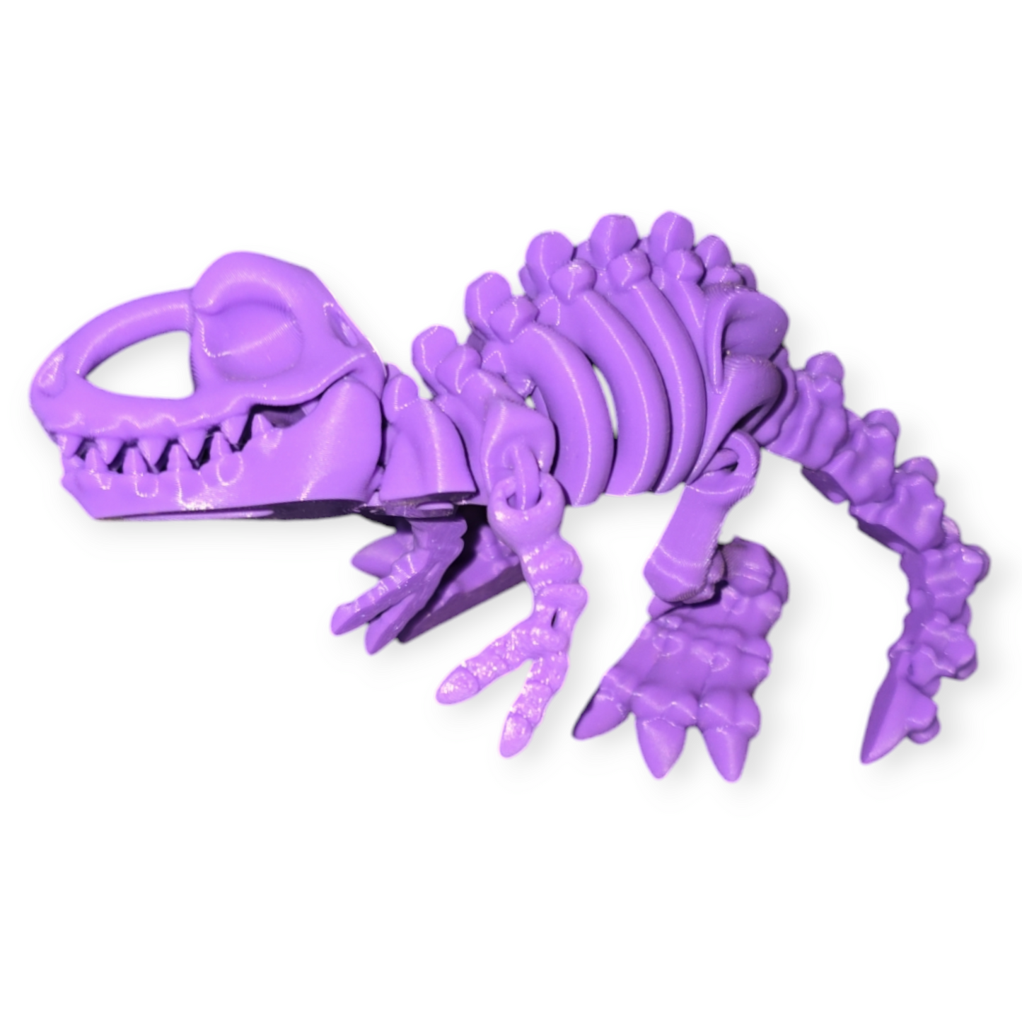 T-Rex Skeleton