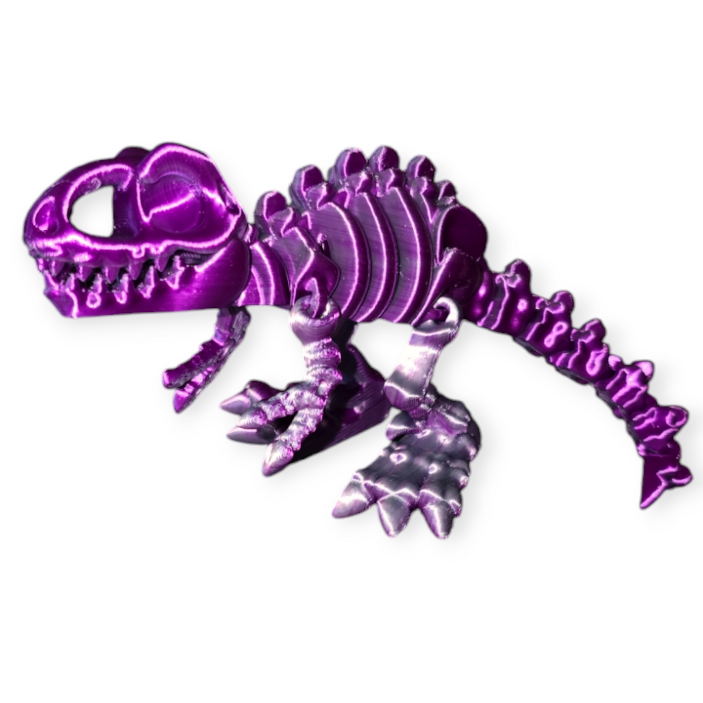 T-Rex Skeleton