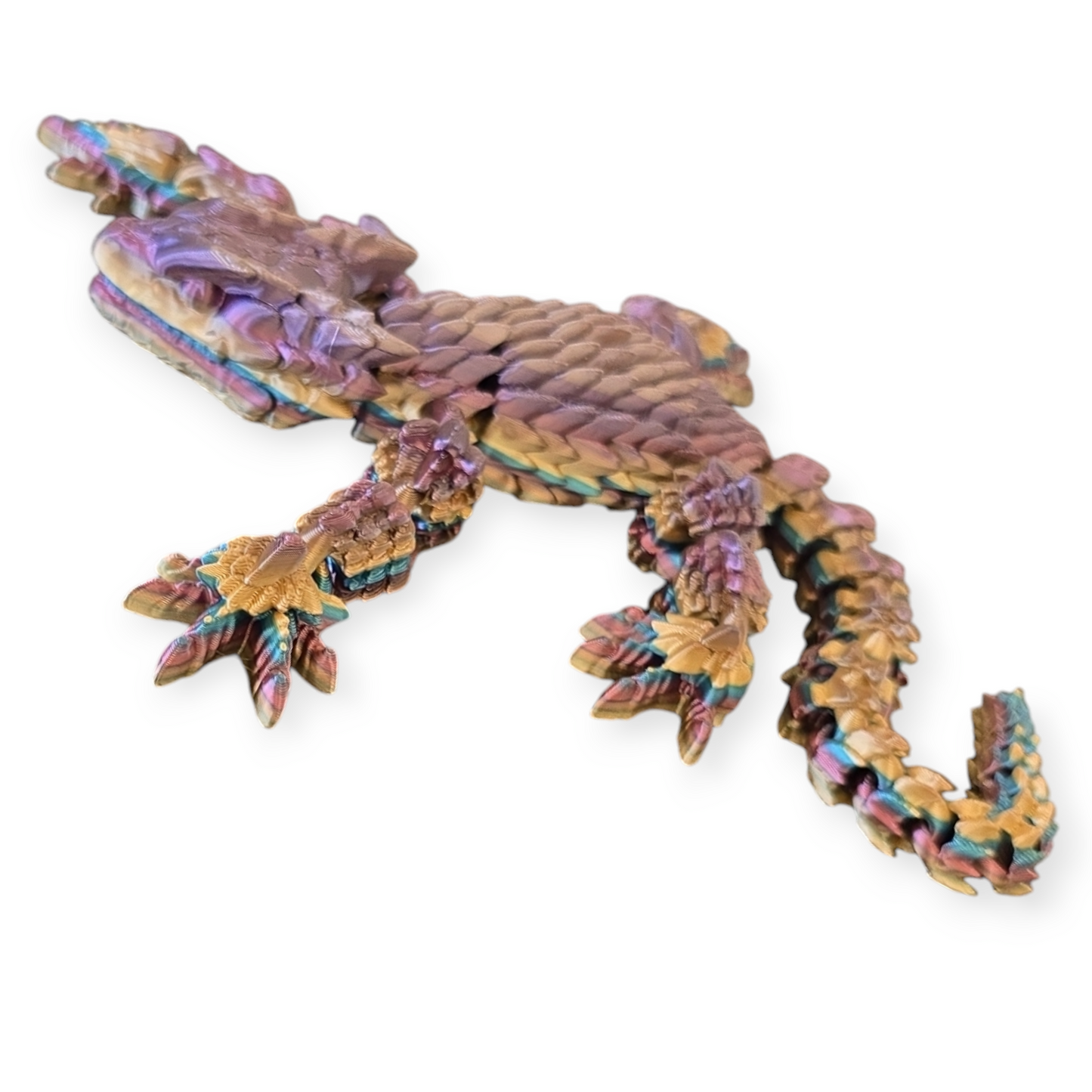 Armadillo Lizard