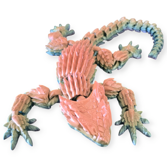 Armadillo Lizard