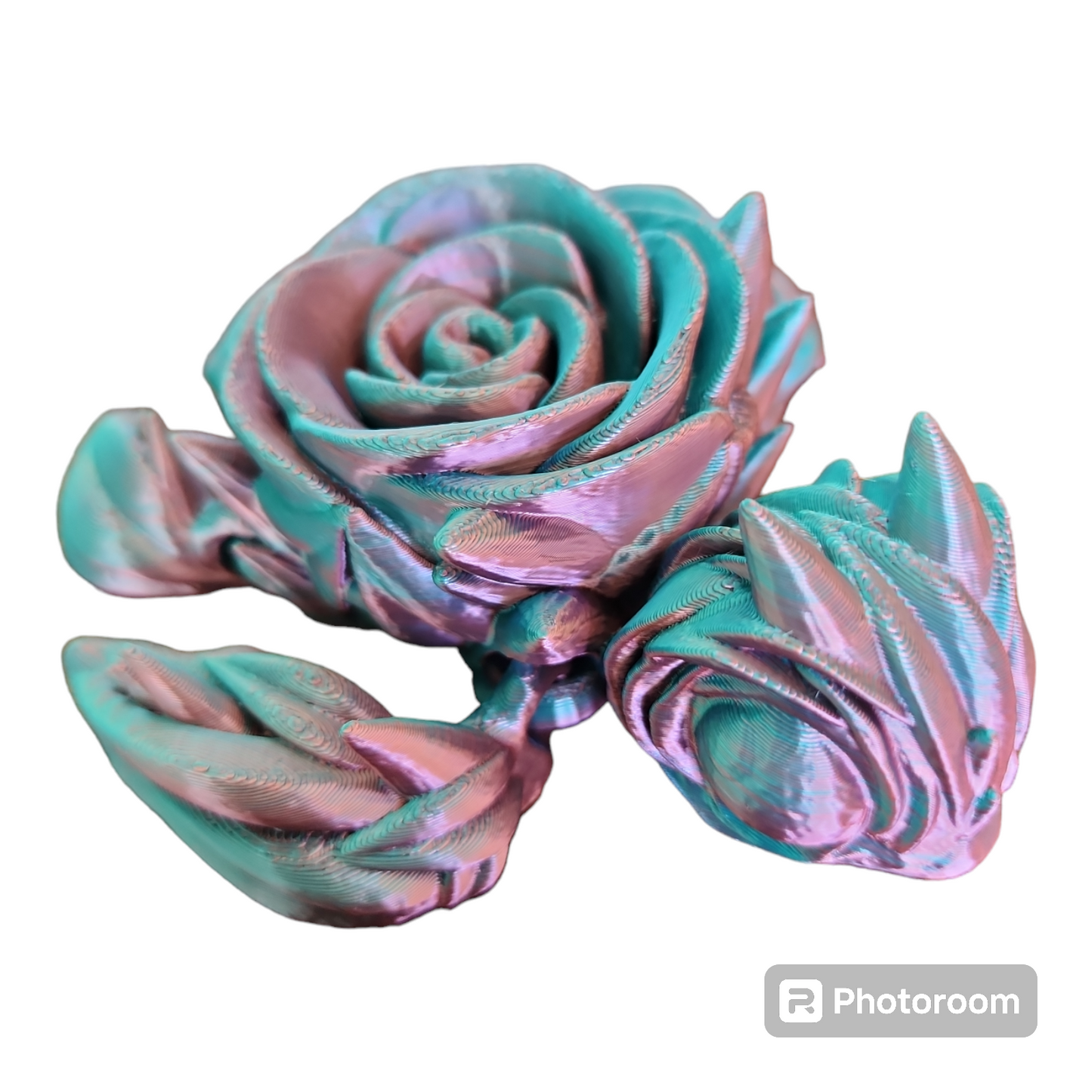 Rose Turtle