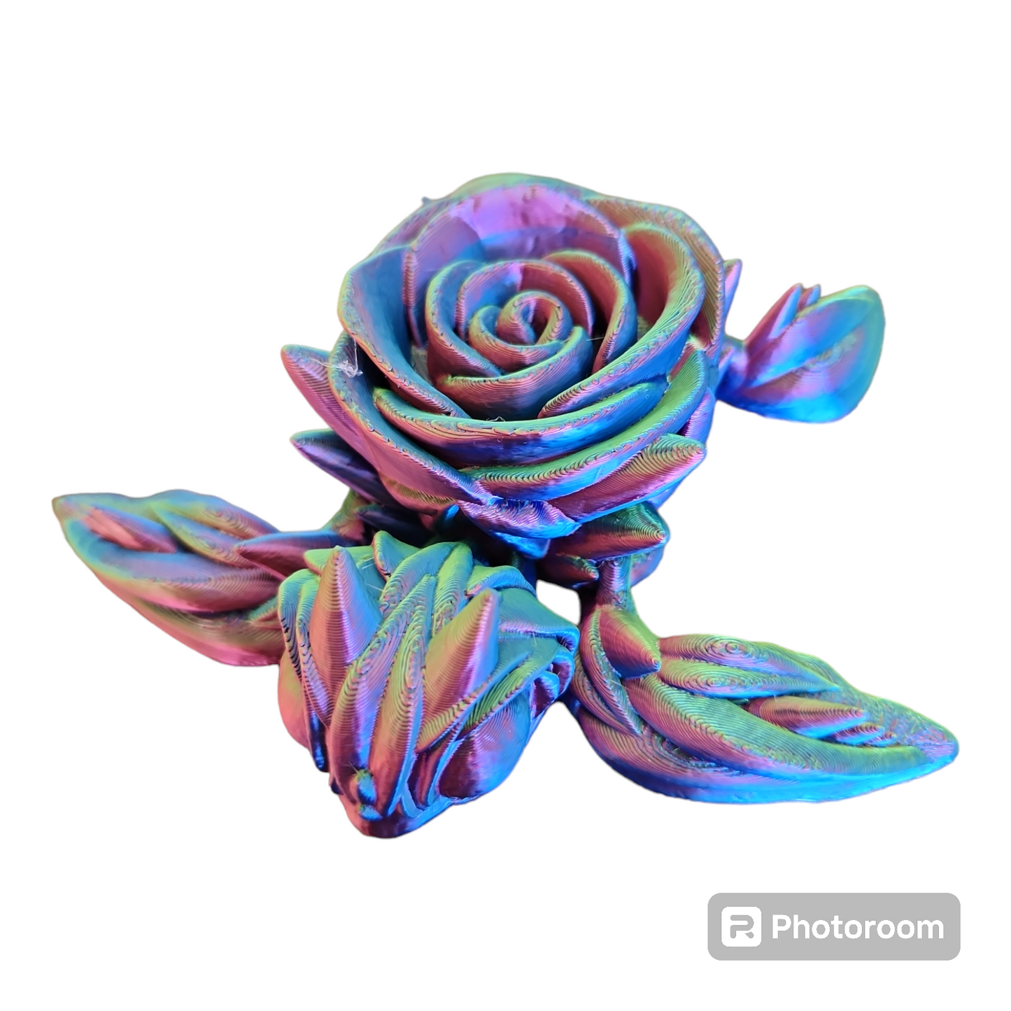Rose Turtle