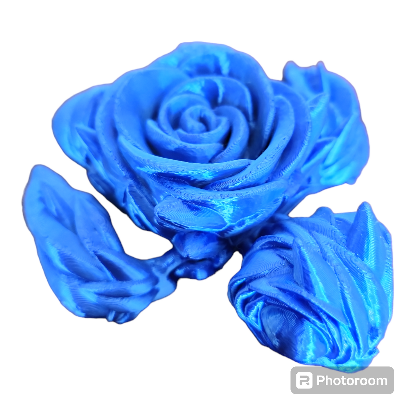 Rose Turtle