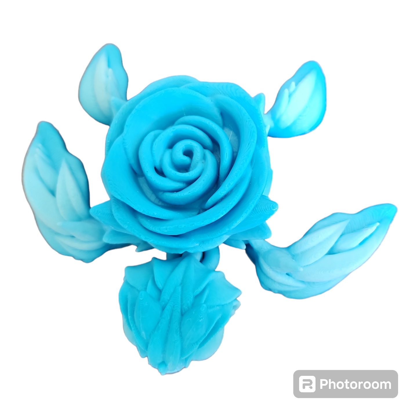 Rose Turtle