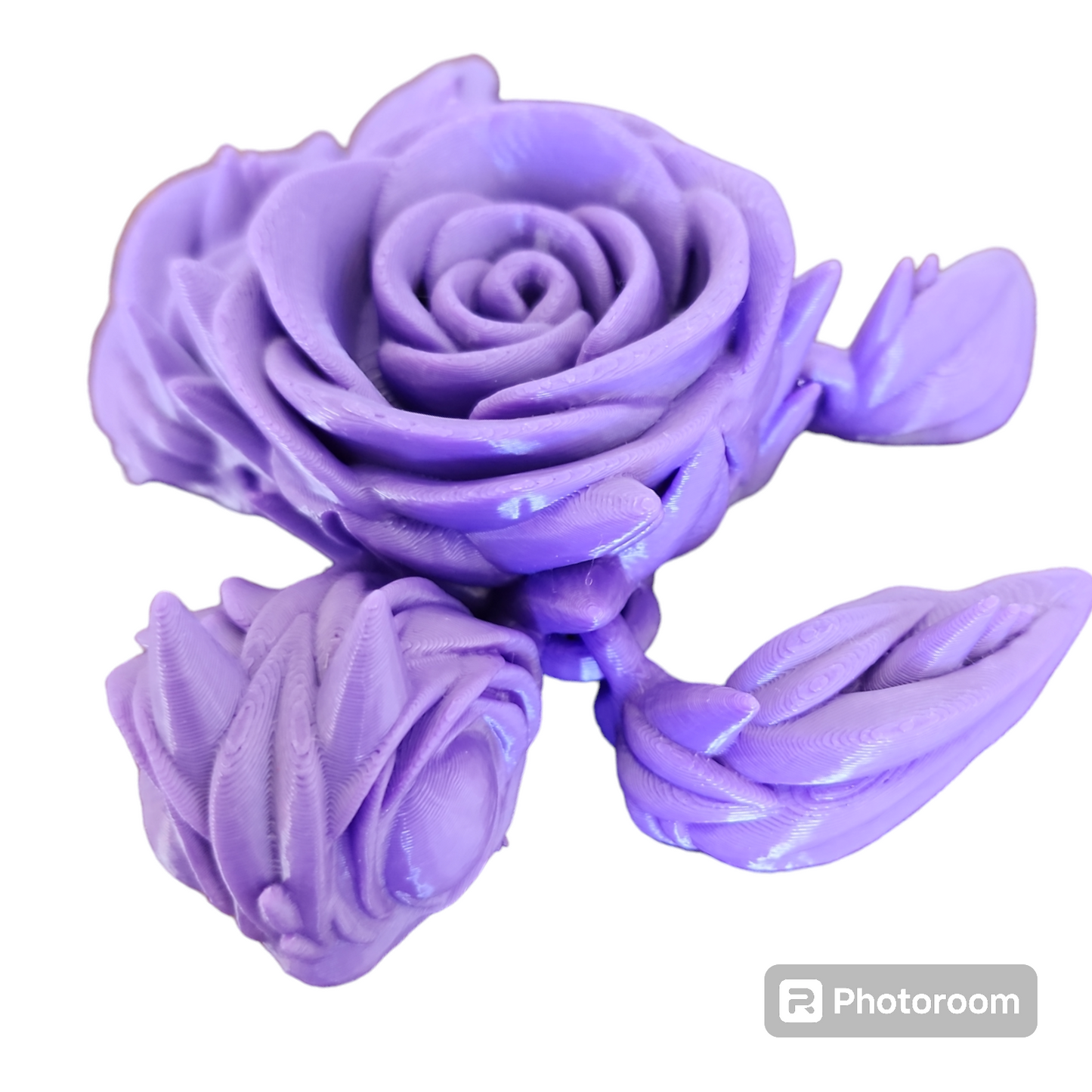 Rose Turtle