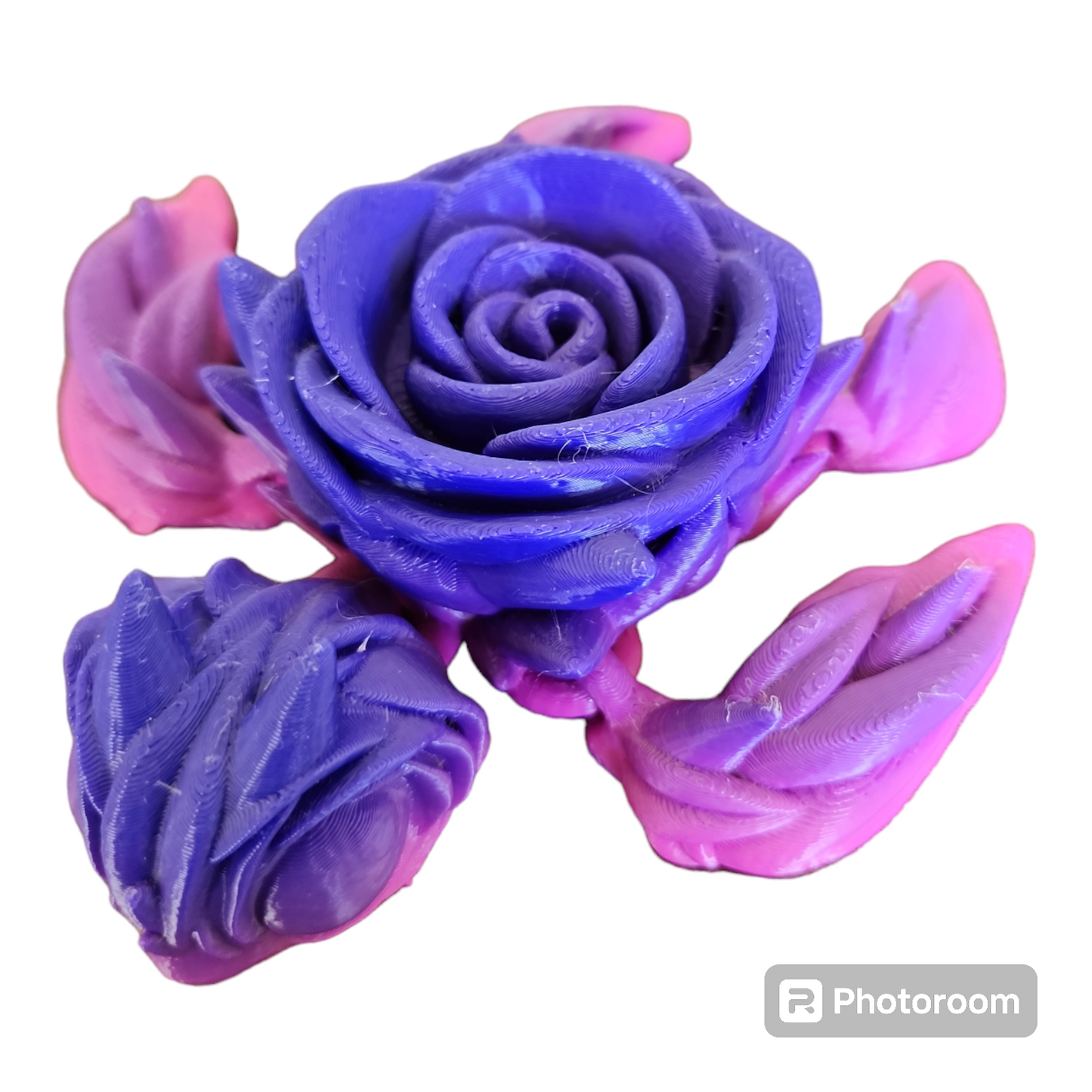 Rose Turtle