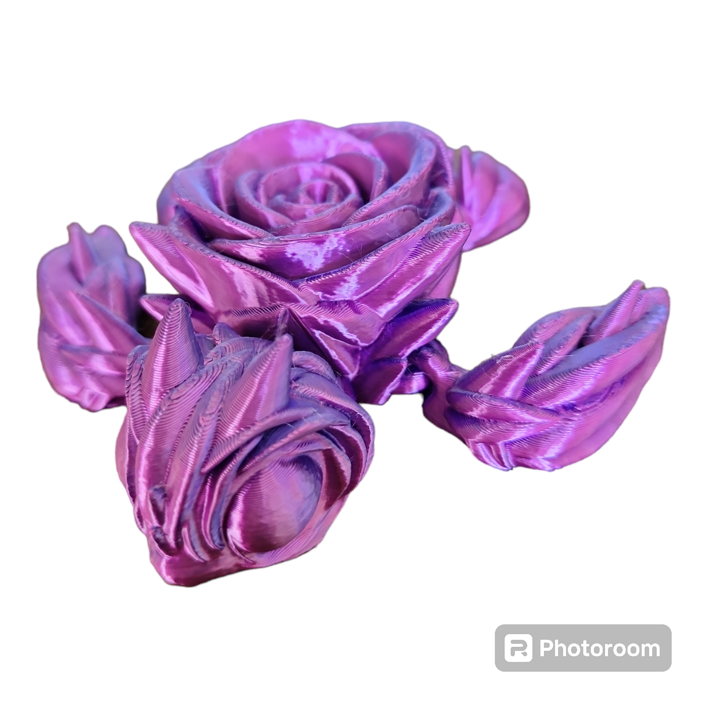 Rose Turtle