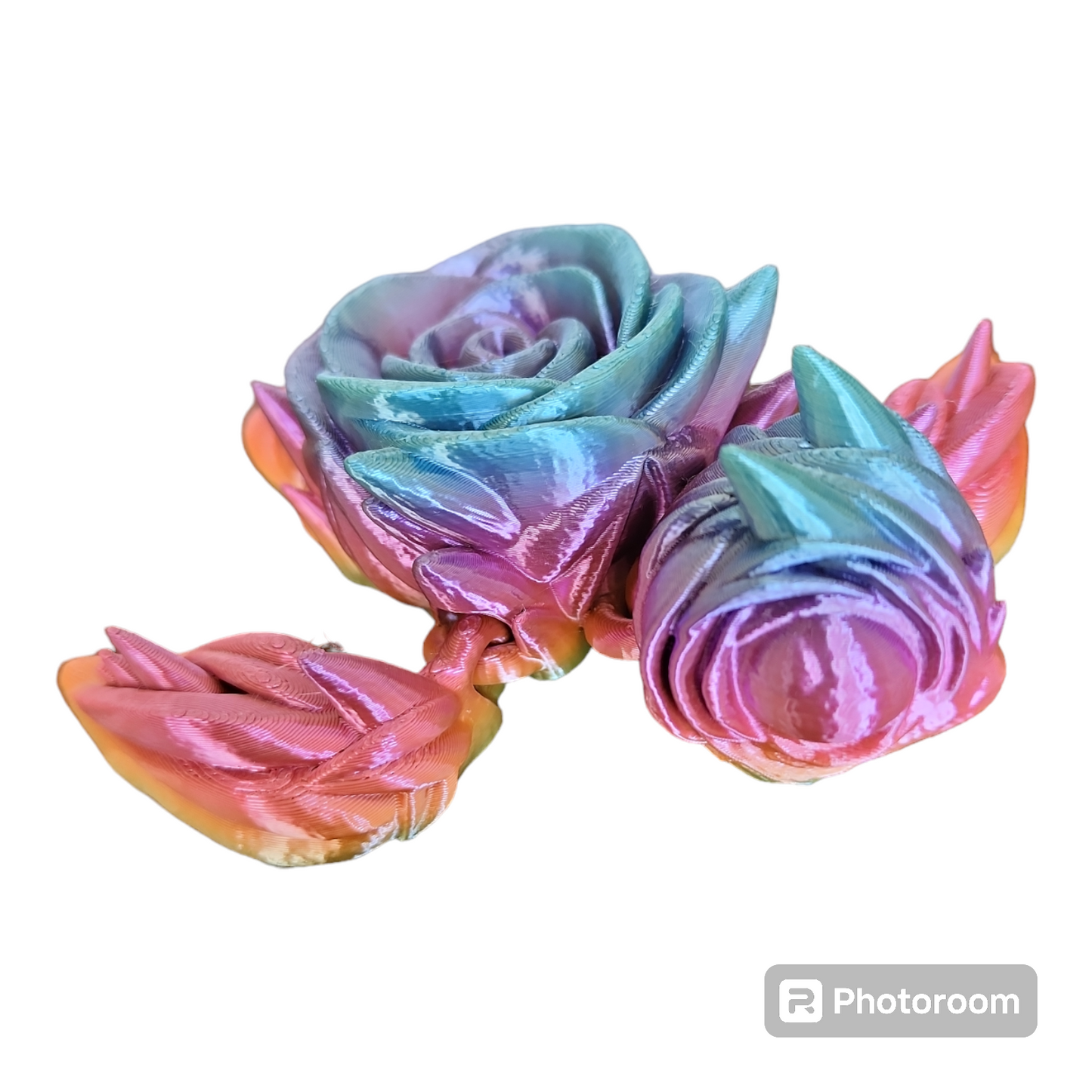Rose Turtle