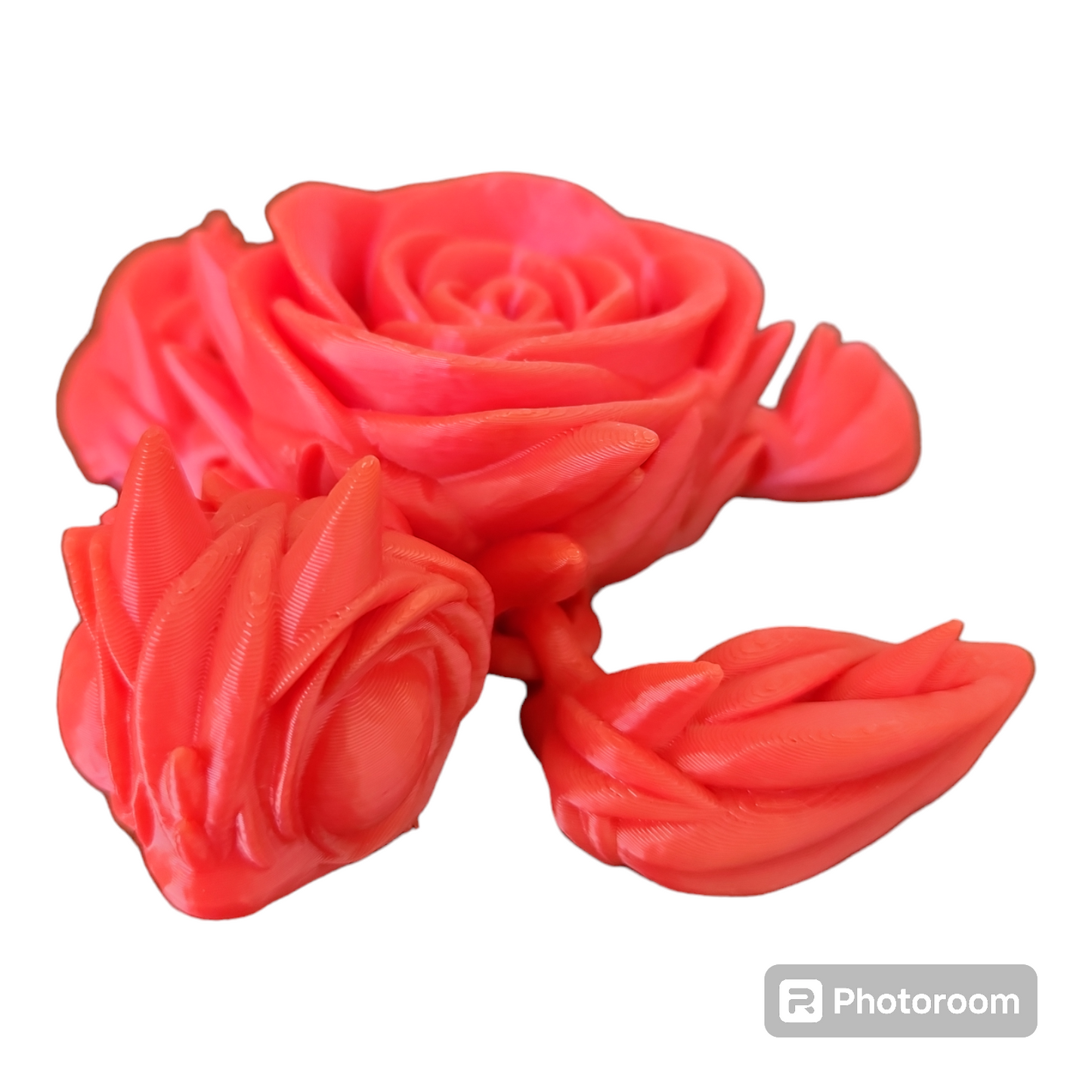 Rose Turtle