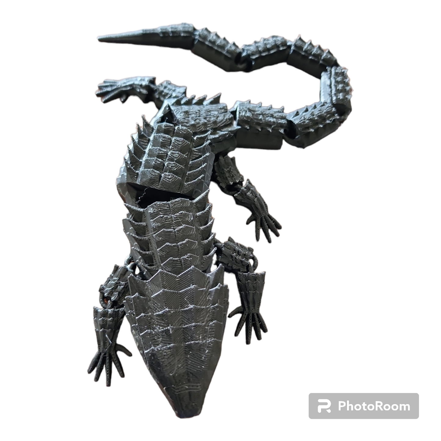 Crocodile Skink