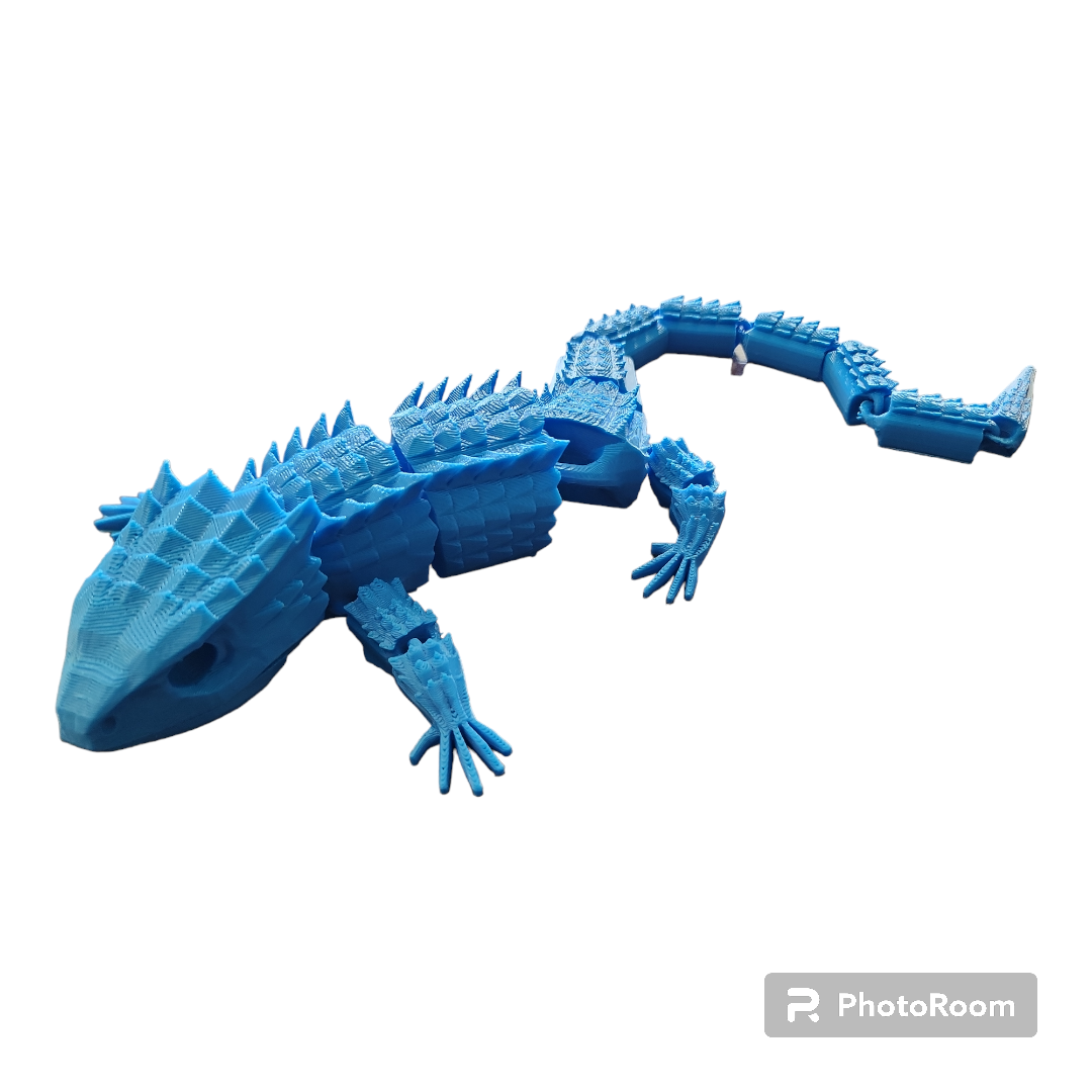 Crocodile Skink
