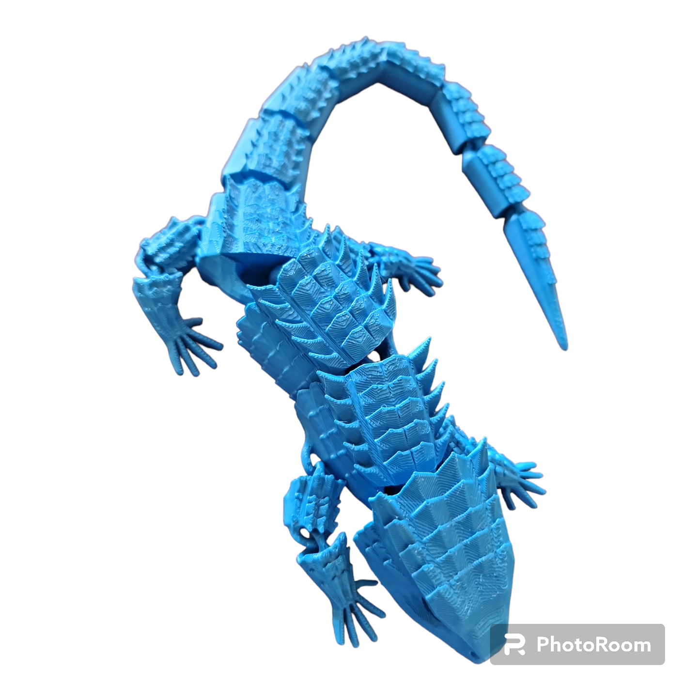 Crocodile Skink