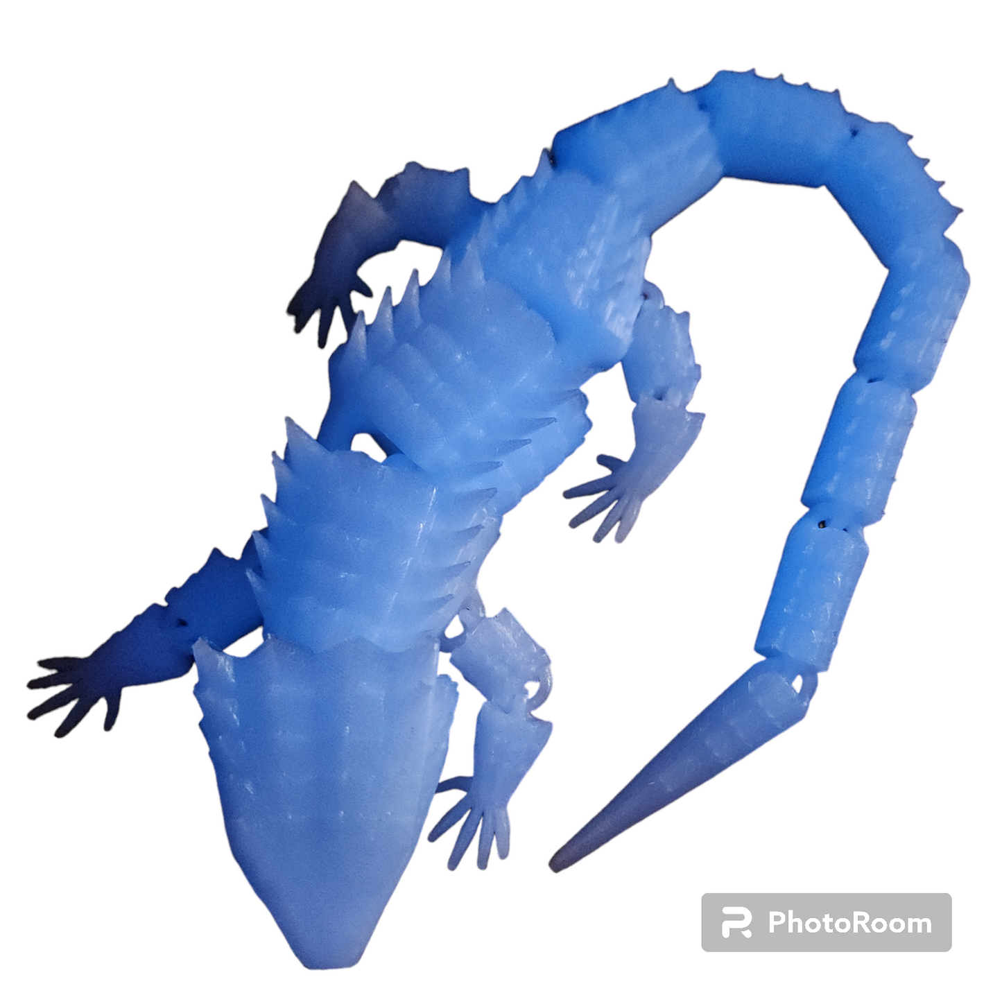 Crocodile Skink