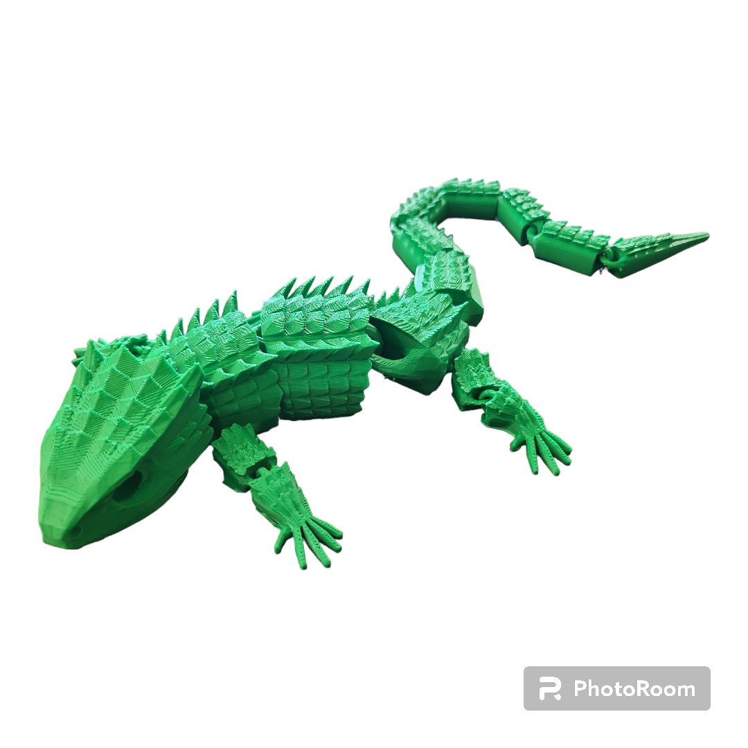 Crocodile Skink