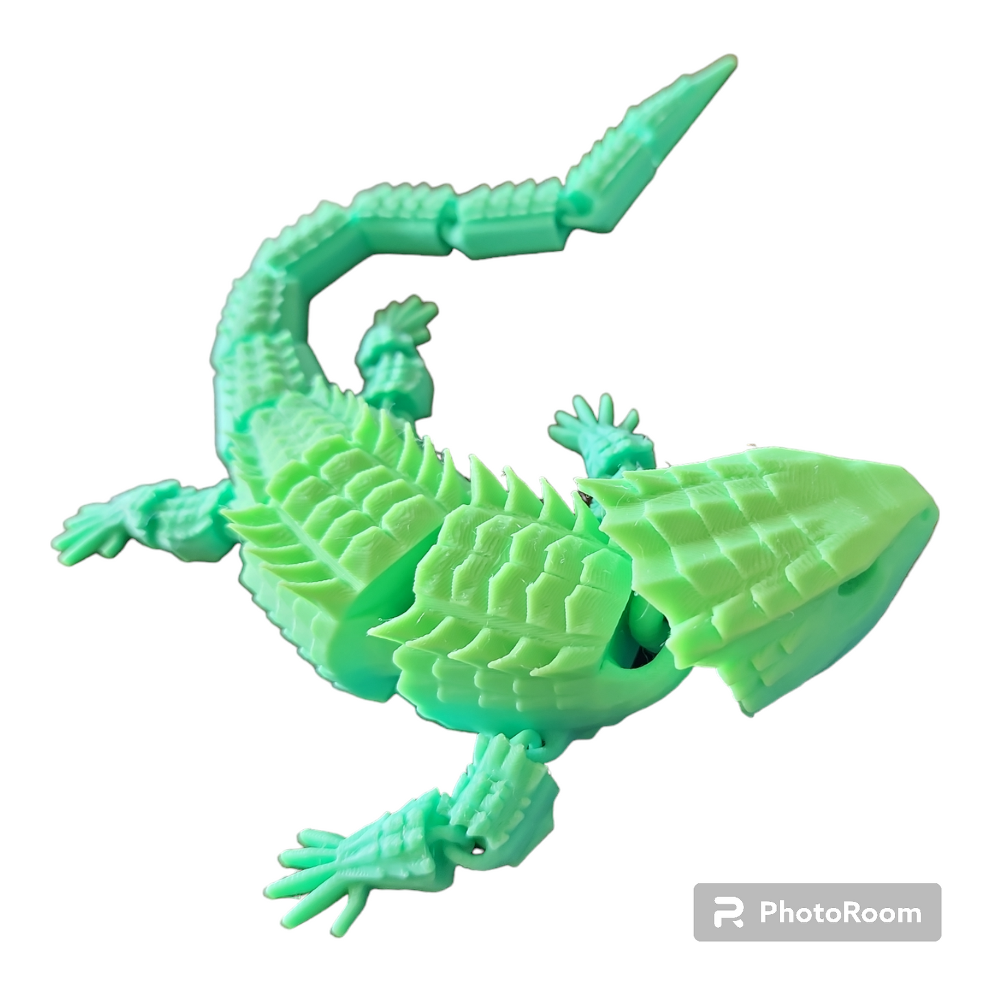Crocodile Skink