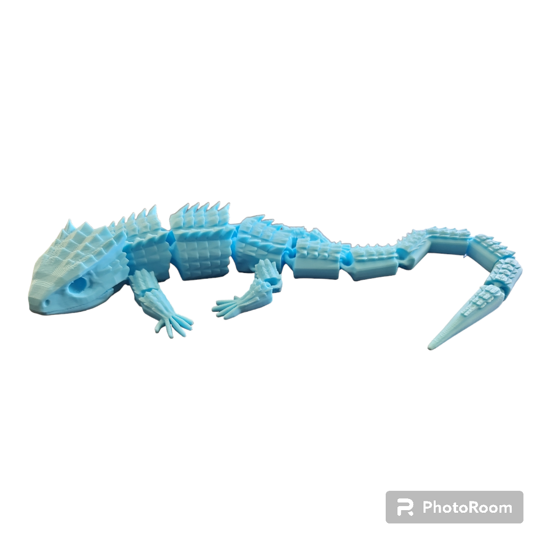 Crocodile Skink