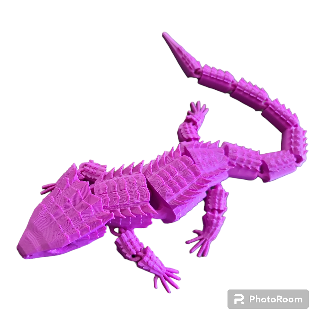 Crocodile Skink
