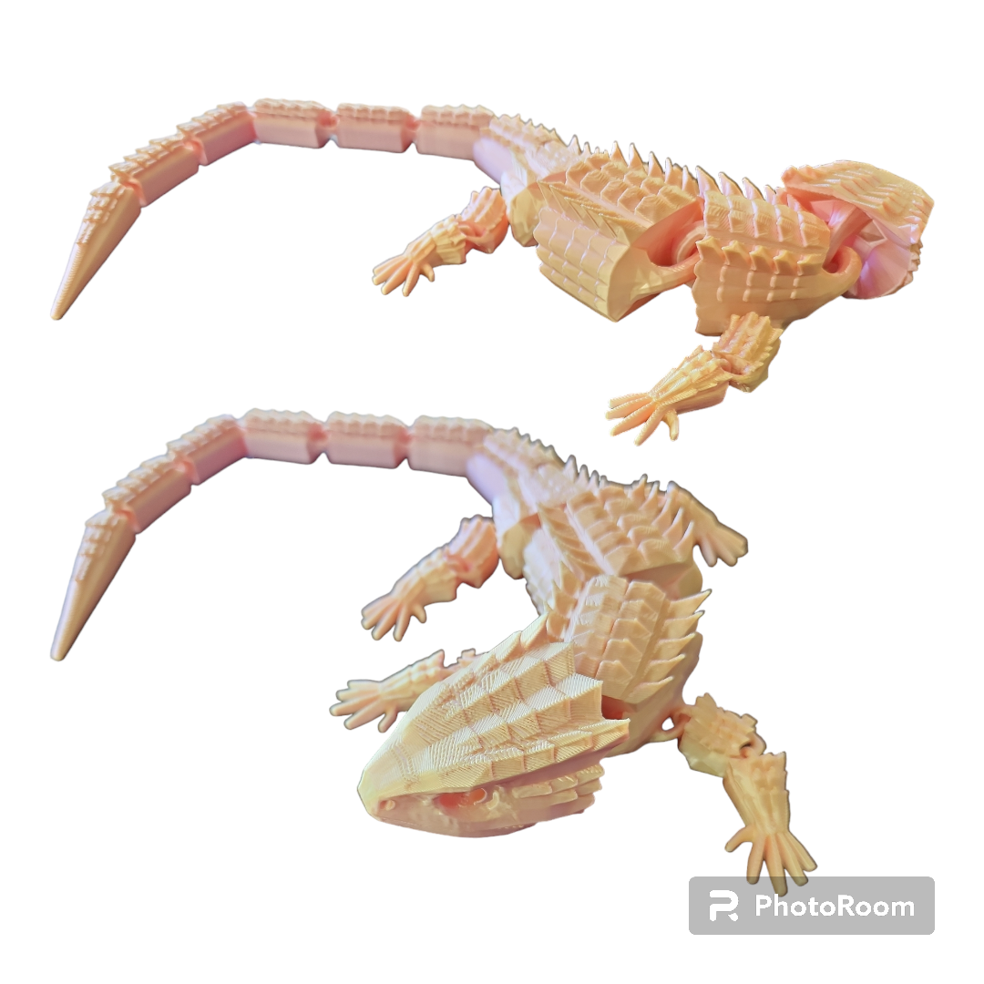 Crocodile Skink
