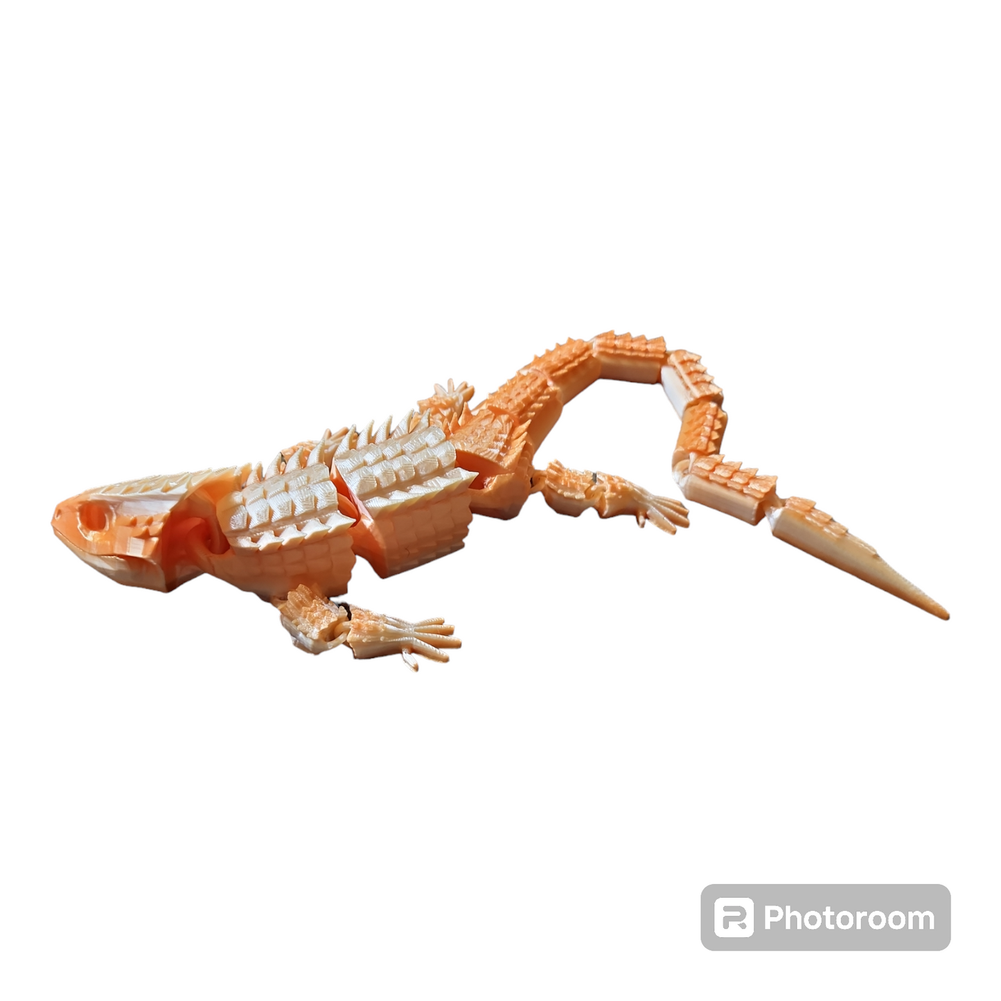 Crocodile Skink