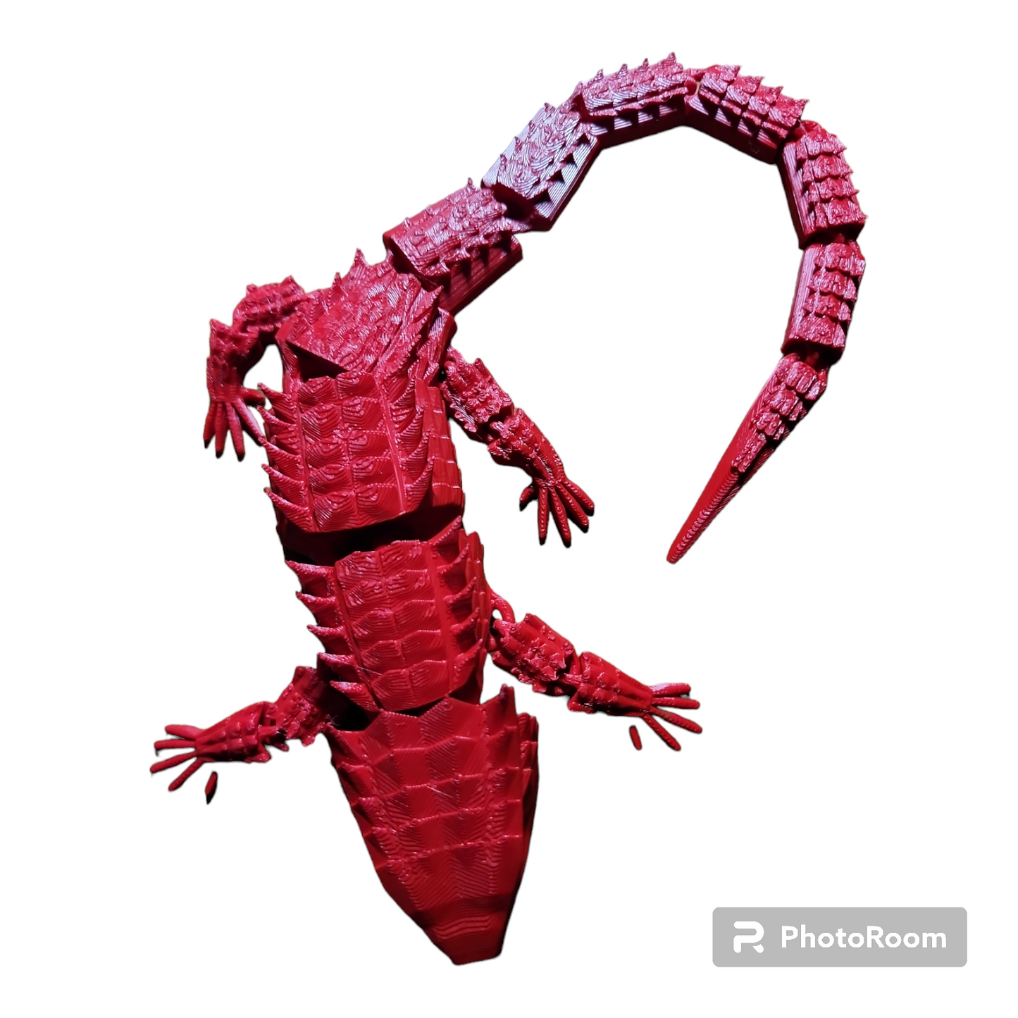 Crocodile Skink