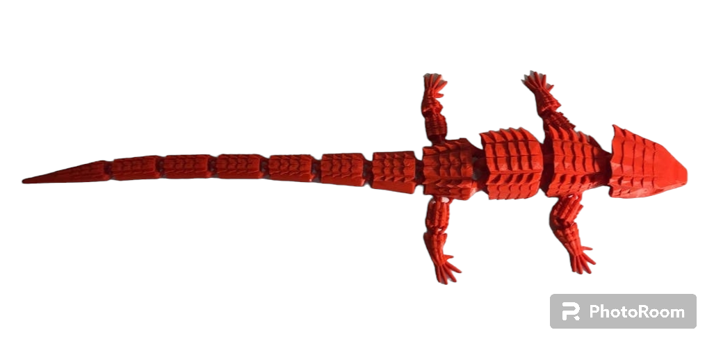 Crocodile Skink