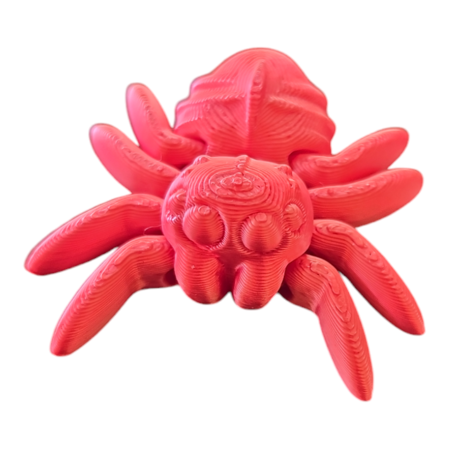 Spider Fidget Toy