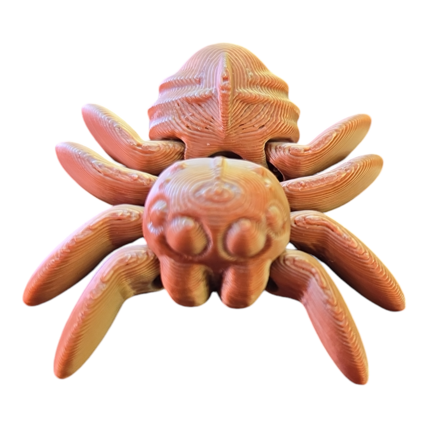 Spider Fidget Toy