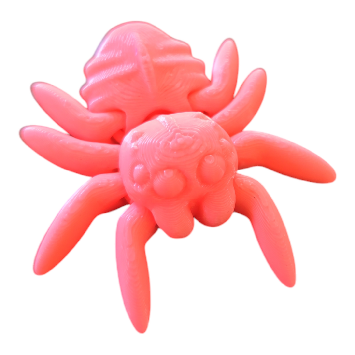 Spider Fidget Toy