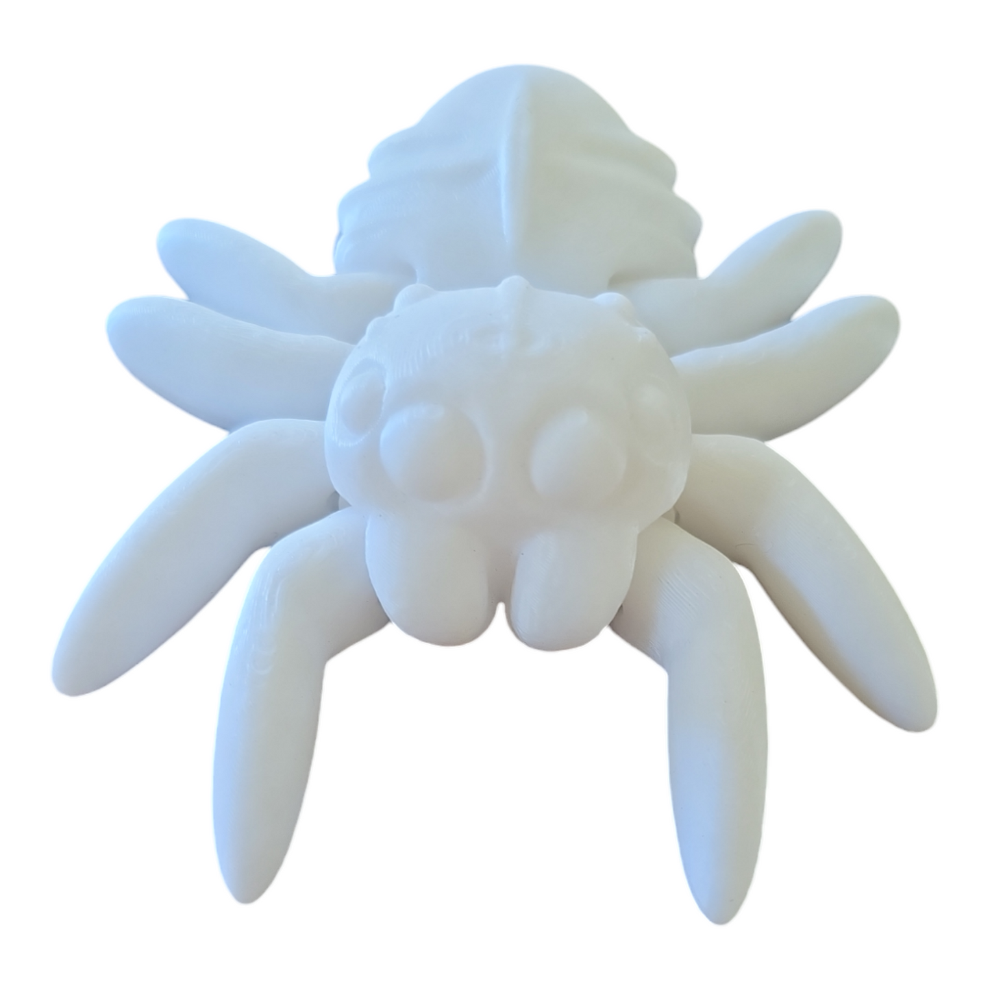 Spider Fidget Toy
