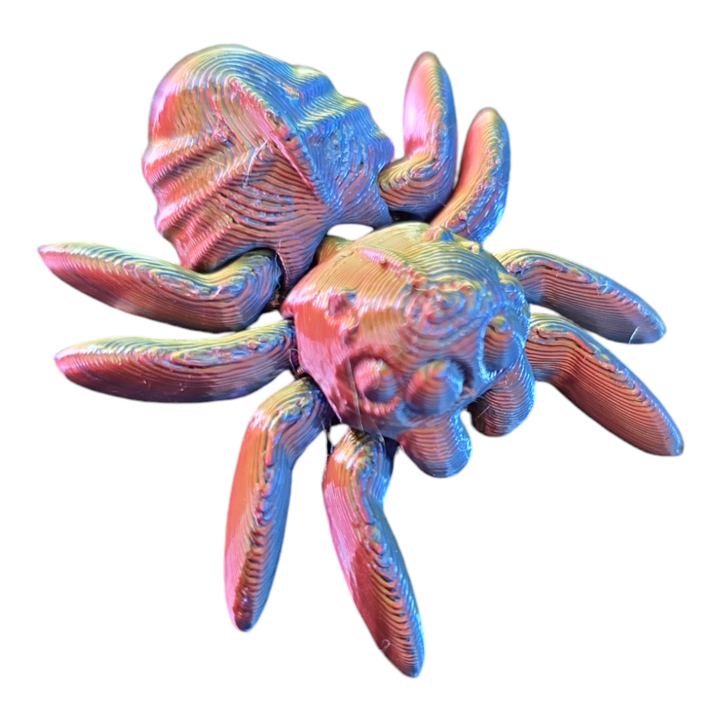 Spider Fidget Toy