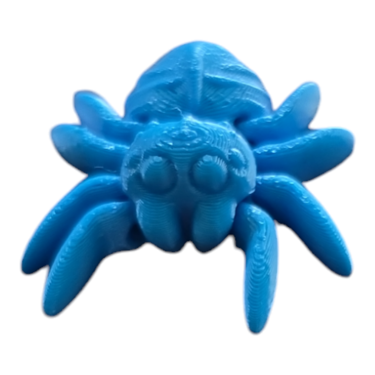 Spider Fidget Toy