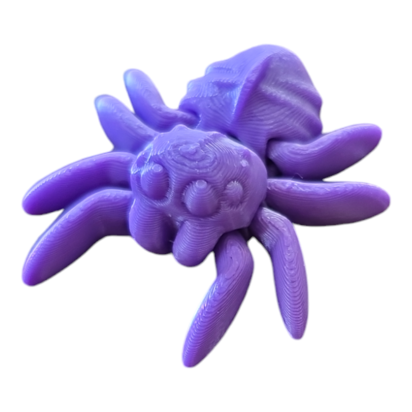 Spider Fidget Toy
